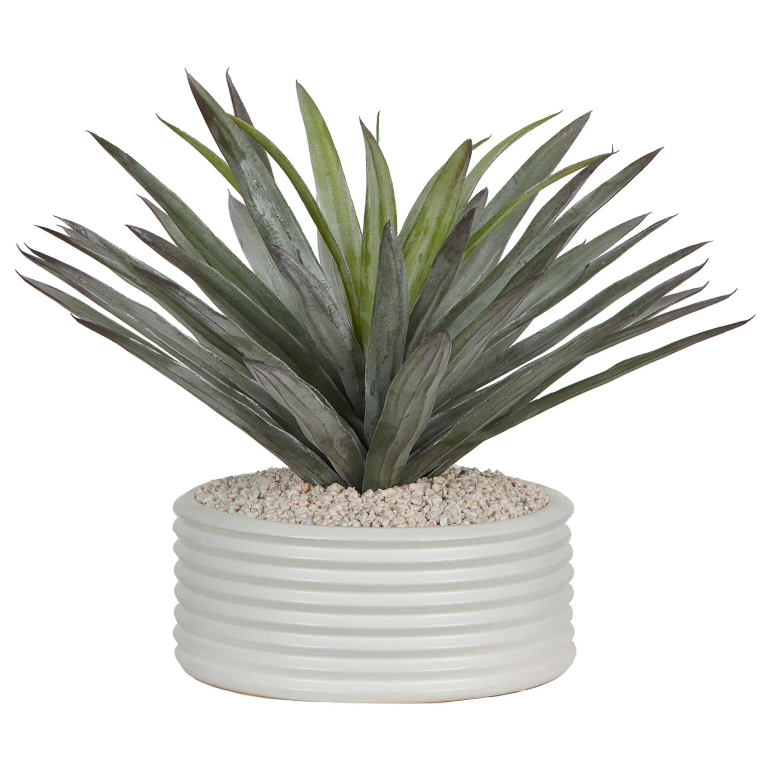 Agave in Armonica Planter, White