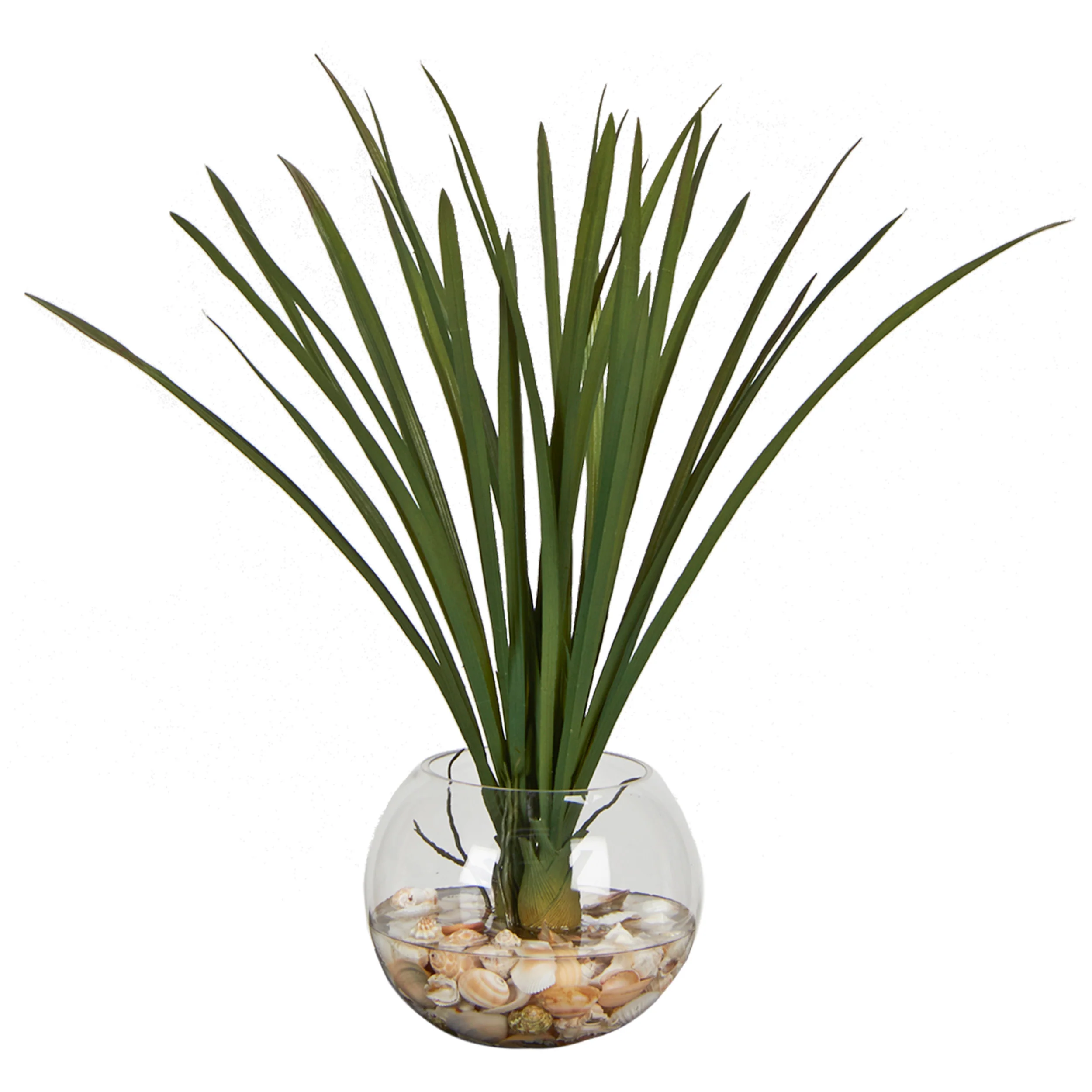 Areca Grass in Small Bubble Bowl, Clear
