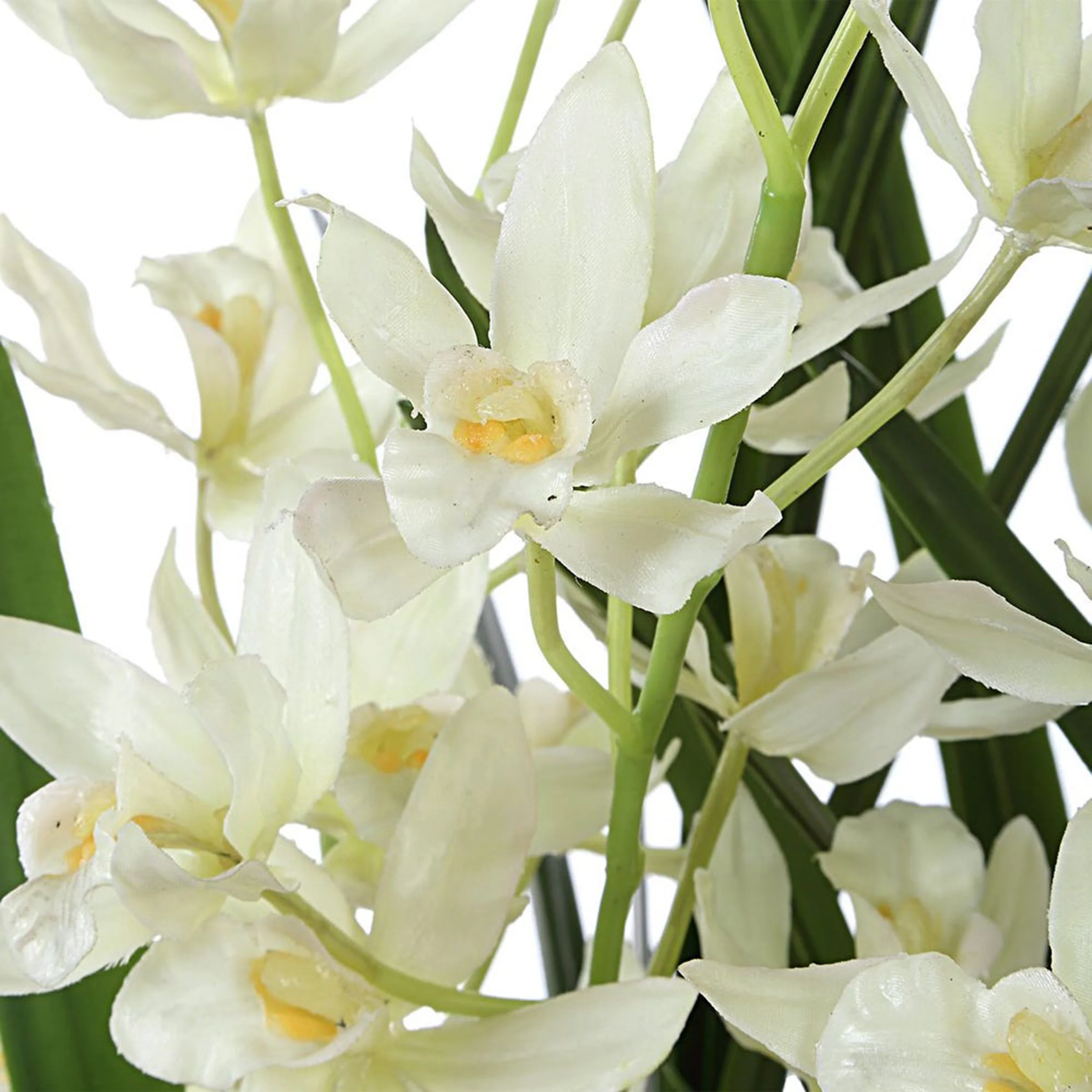 Ariana Orchid, Tan - Image 4