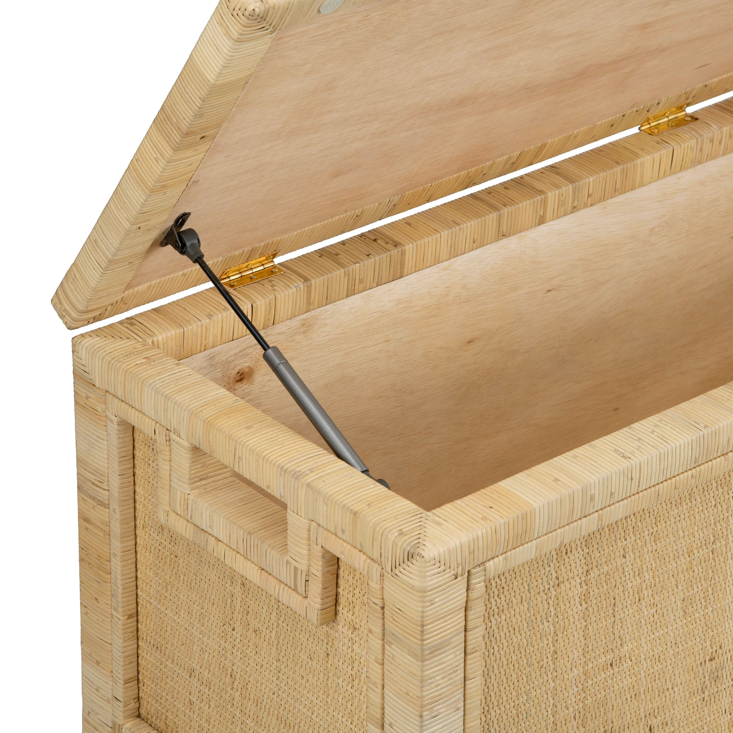 Barbados Trunk, Natural - Image 4