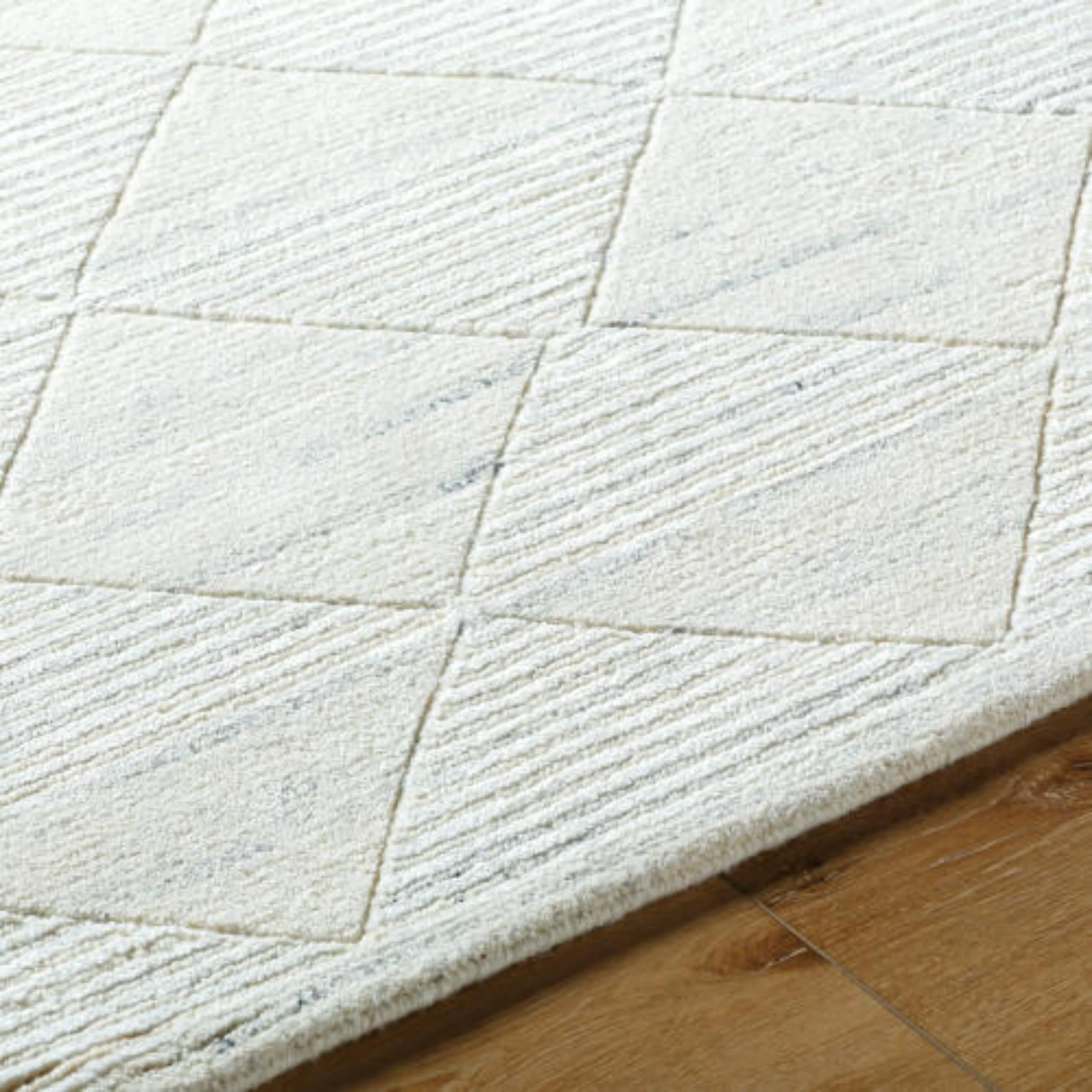Becki Owens x Surya Rug Gina BOGN-2300, Ivory/Black - Image 4