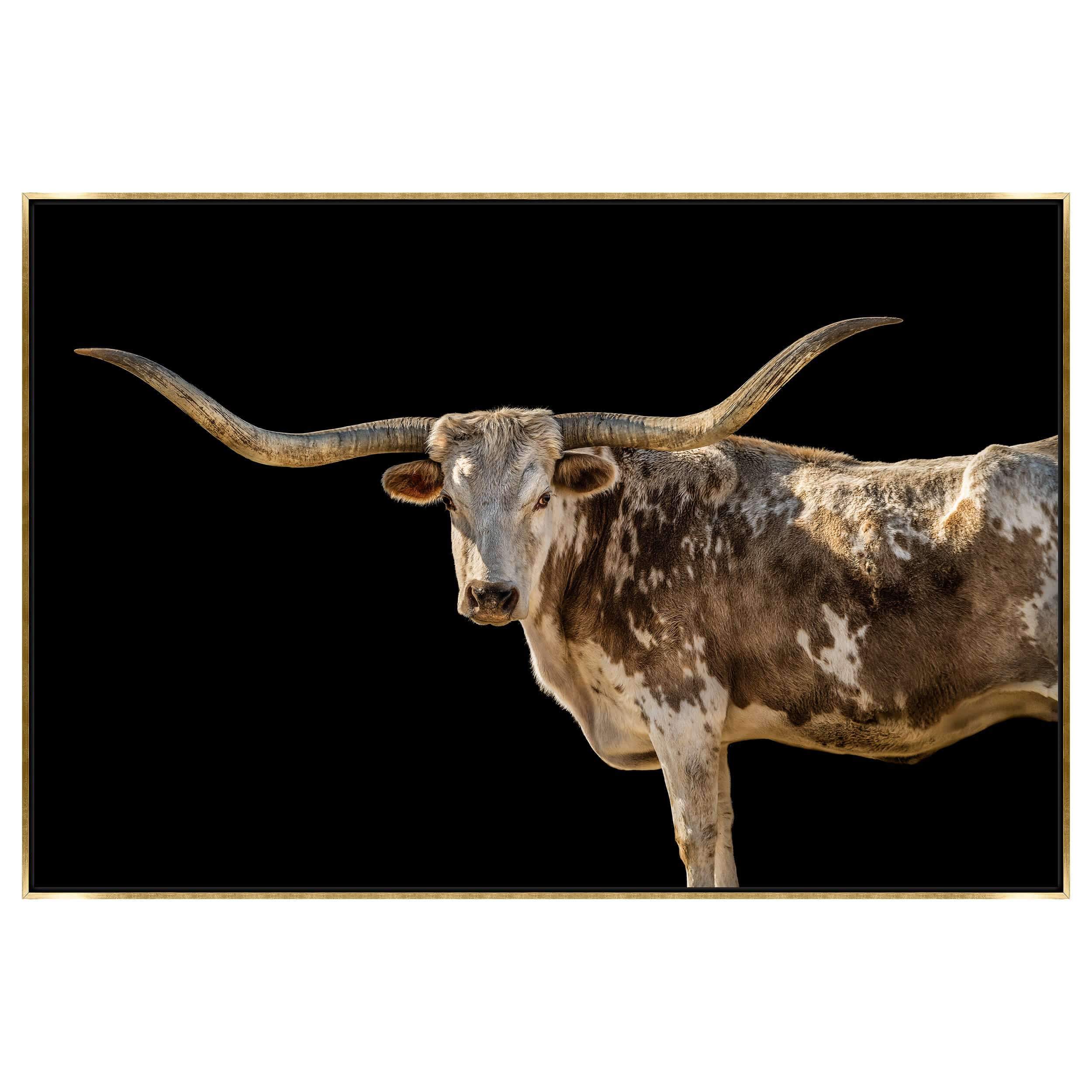 Bessie Framed