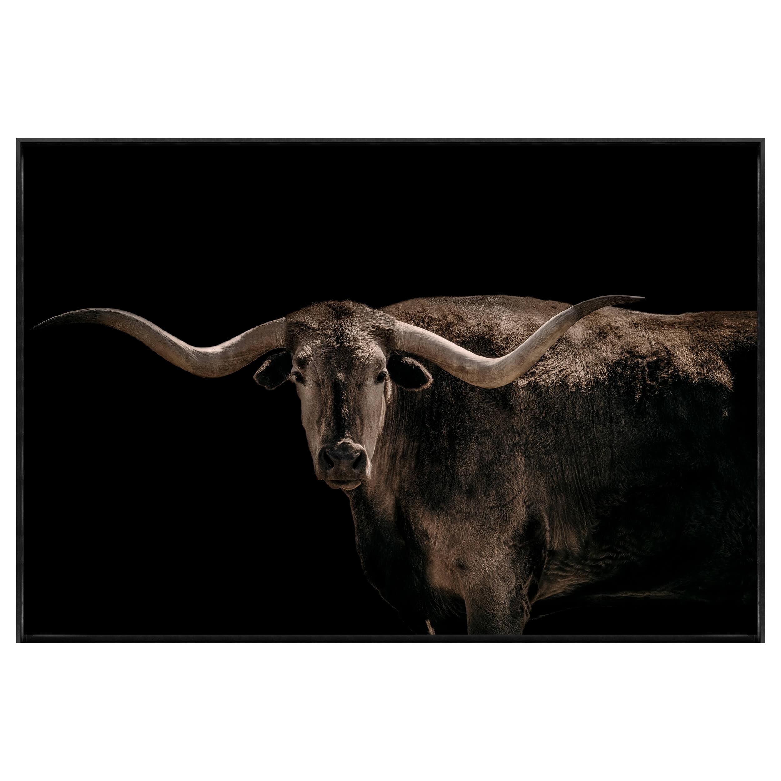 Big Horn in There Framed
