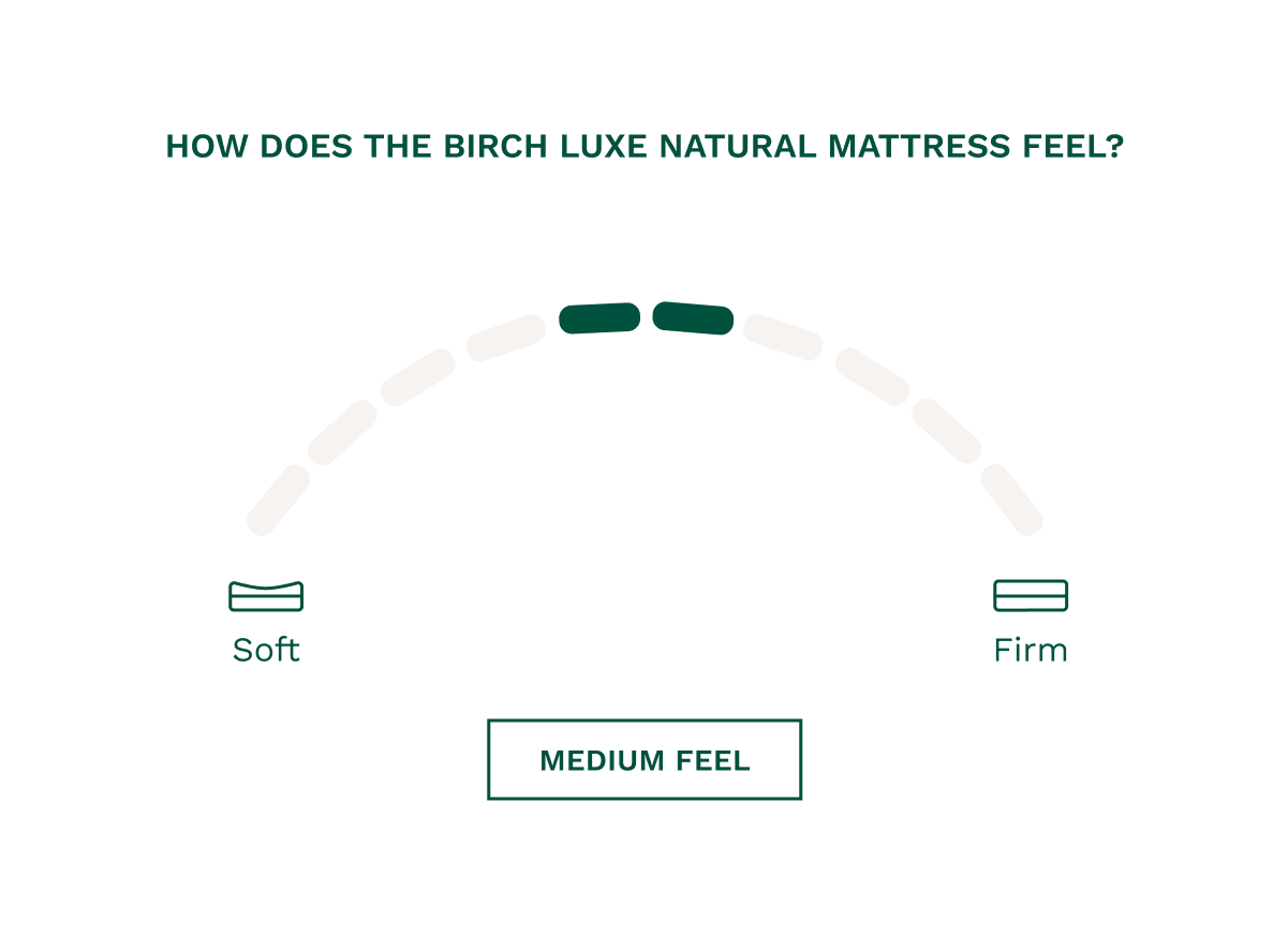 Birch Luxe Natural Mattress - Image 8