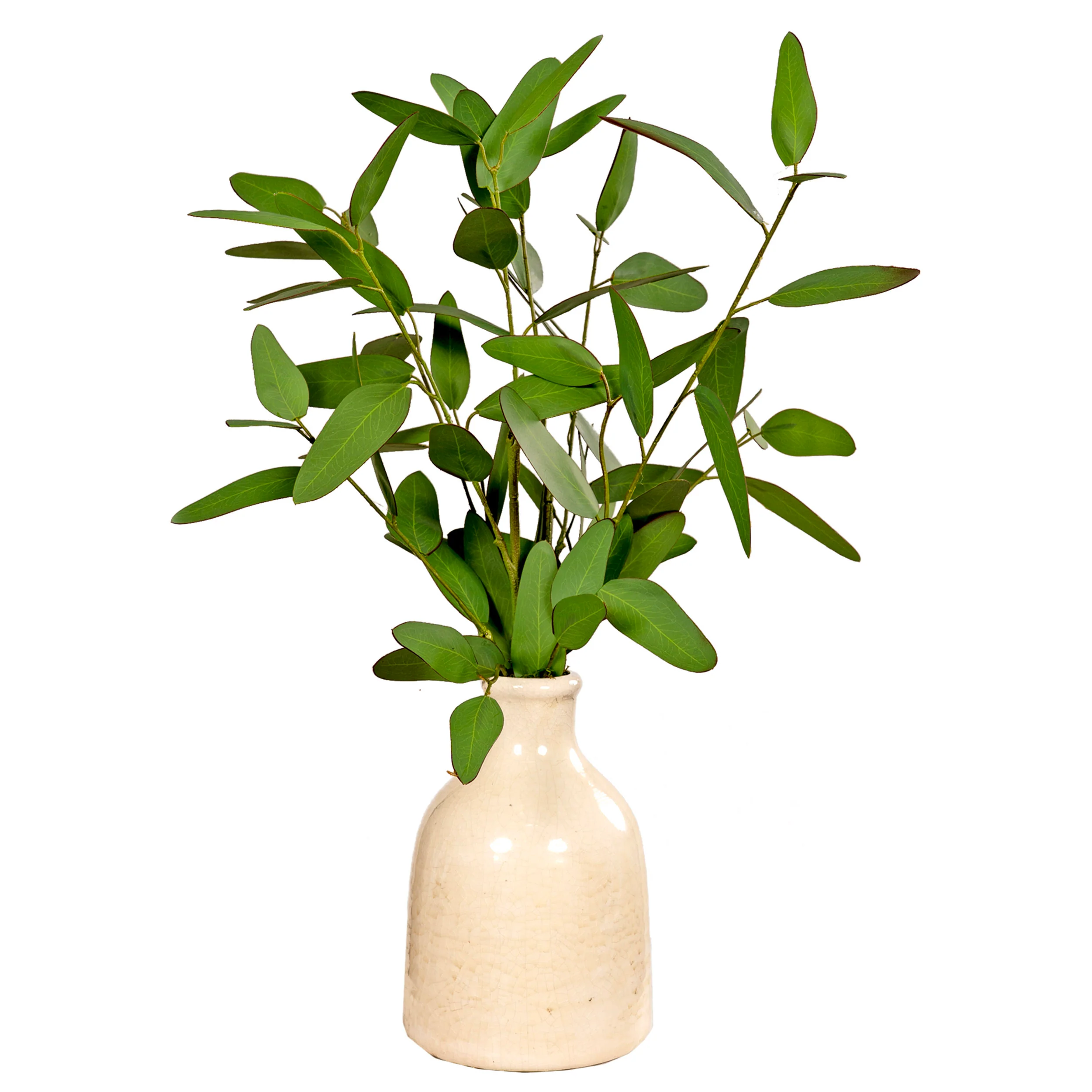 Blue Eucalyptus in Ceramic Planter, Off-White