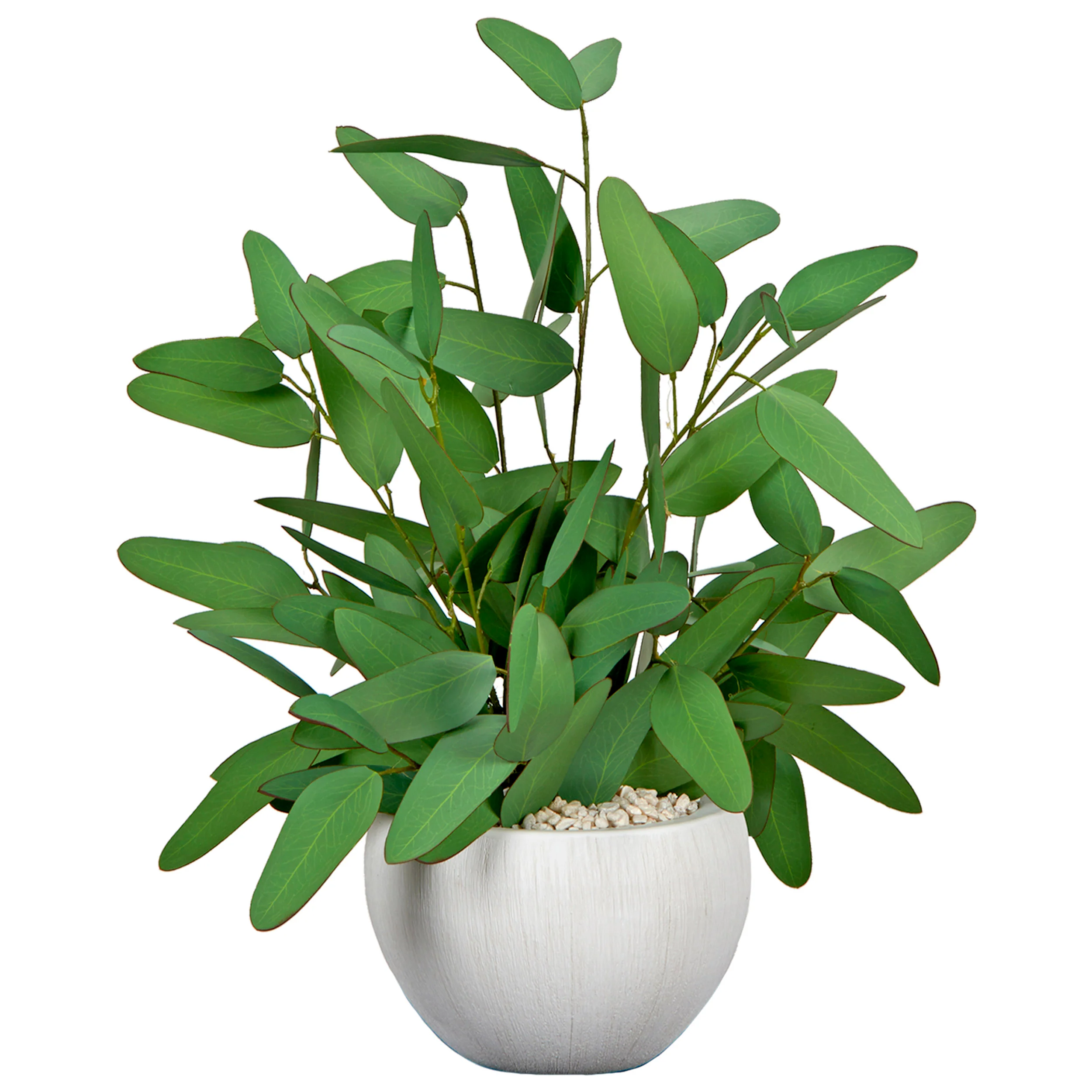 Blue Eucalyptus in Small Ezra Planter, White