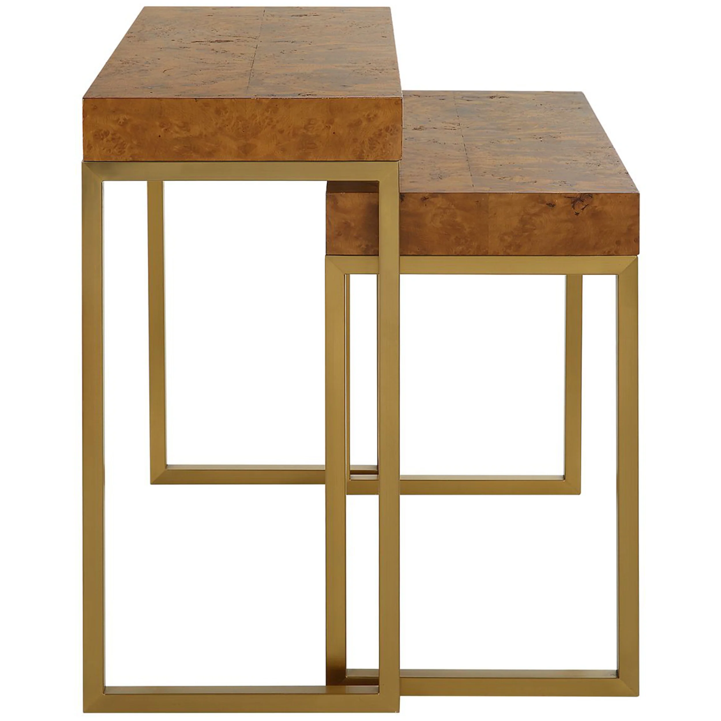 Burl-esque Nesting Tables, Set of 2, Mappa Burl - Image 2