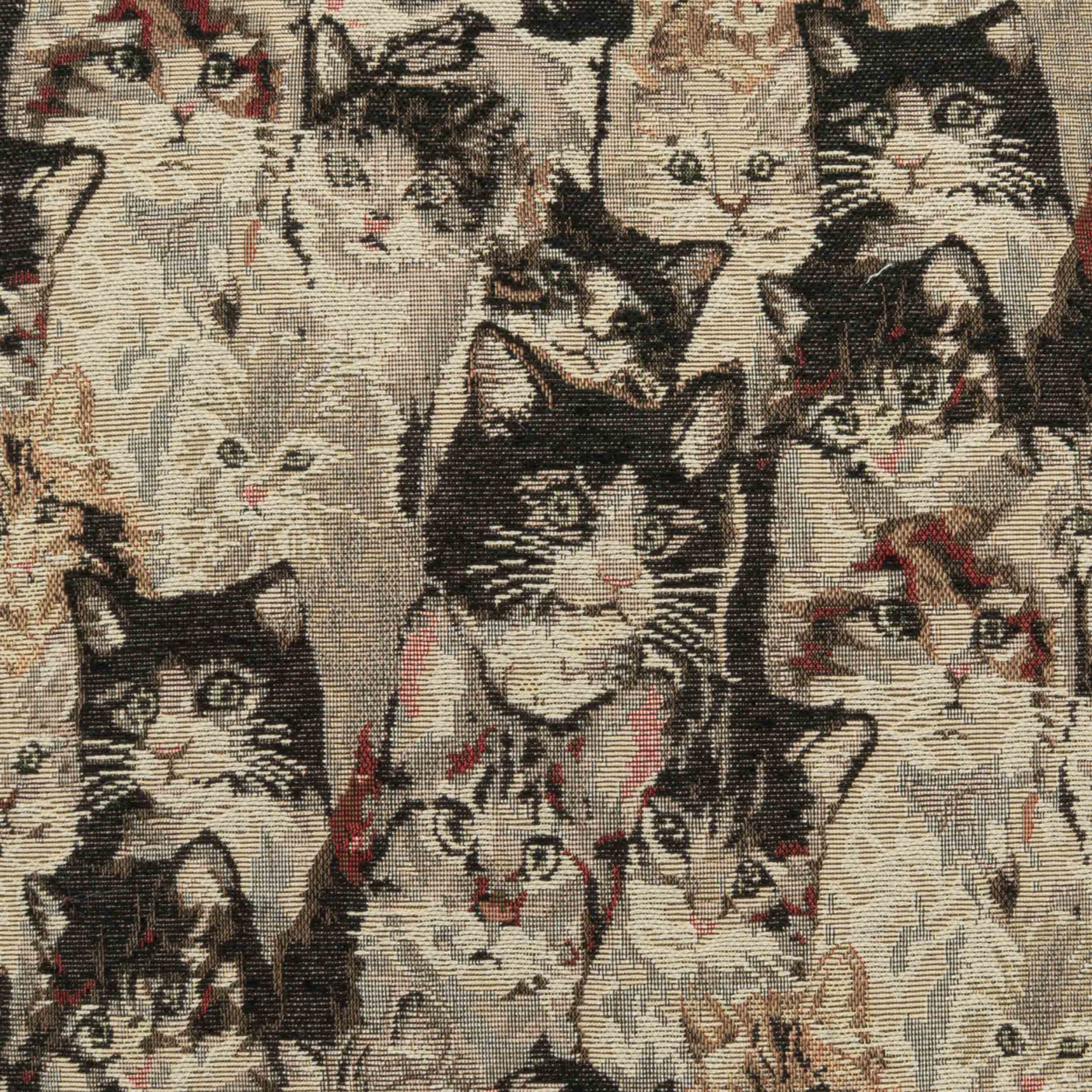 Cat's Meow Pillow, Multi, Set of 2 - Image 2