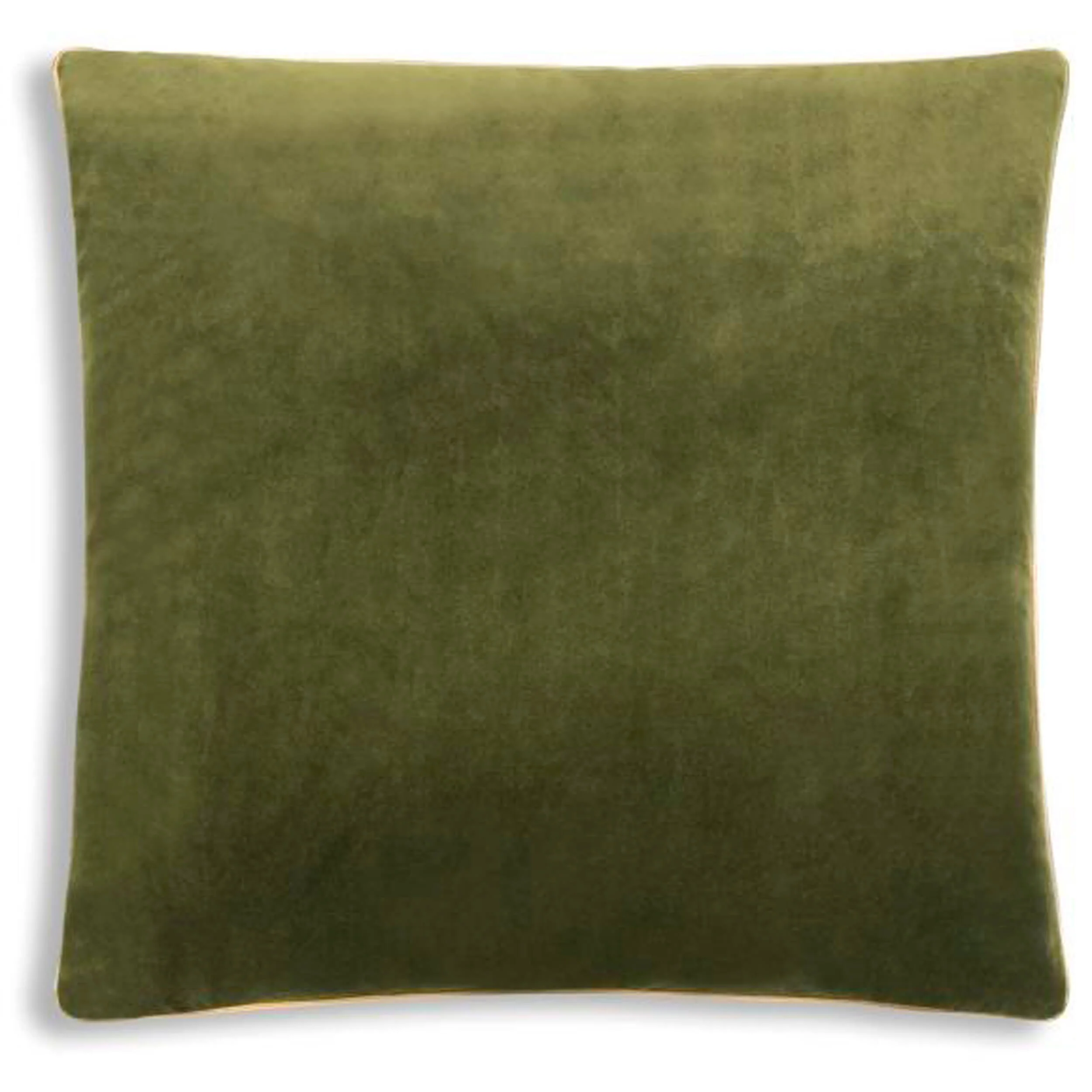 Noah Pillow, Green/Gold