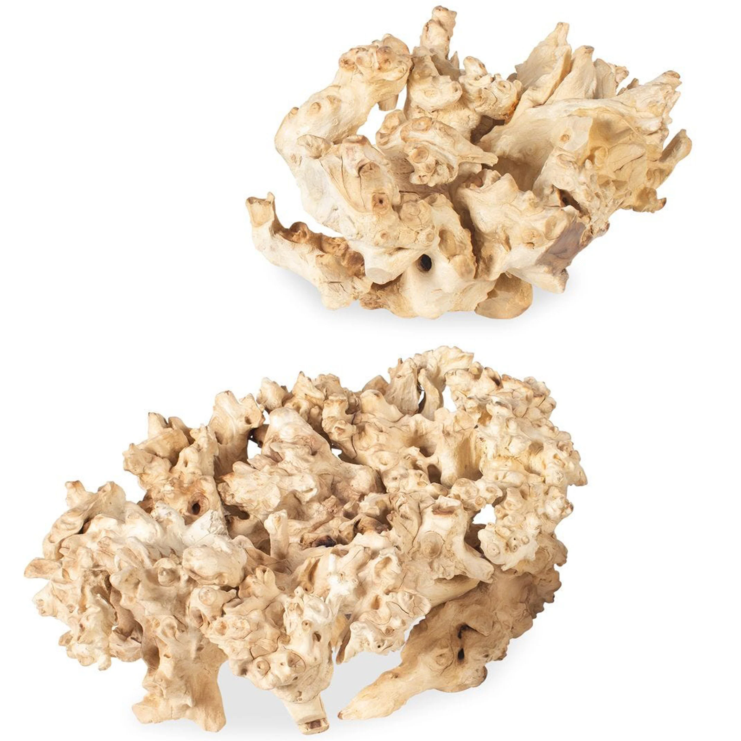 Elemental Root Sculptures, Natural, Set of 2
