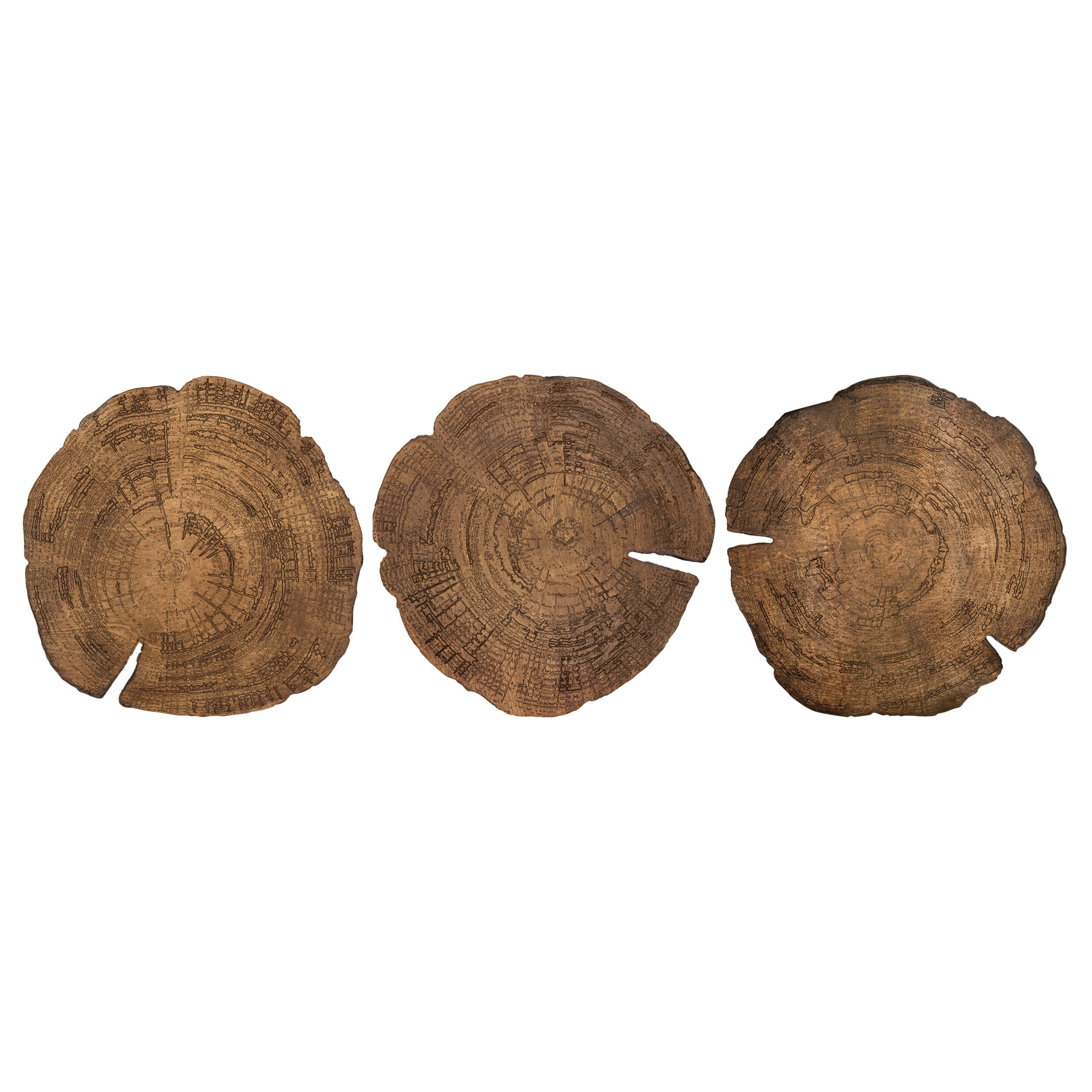 Embers of Growth VII, Natural, Set of 3