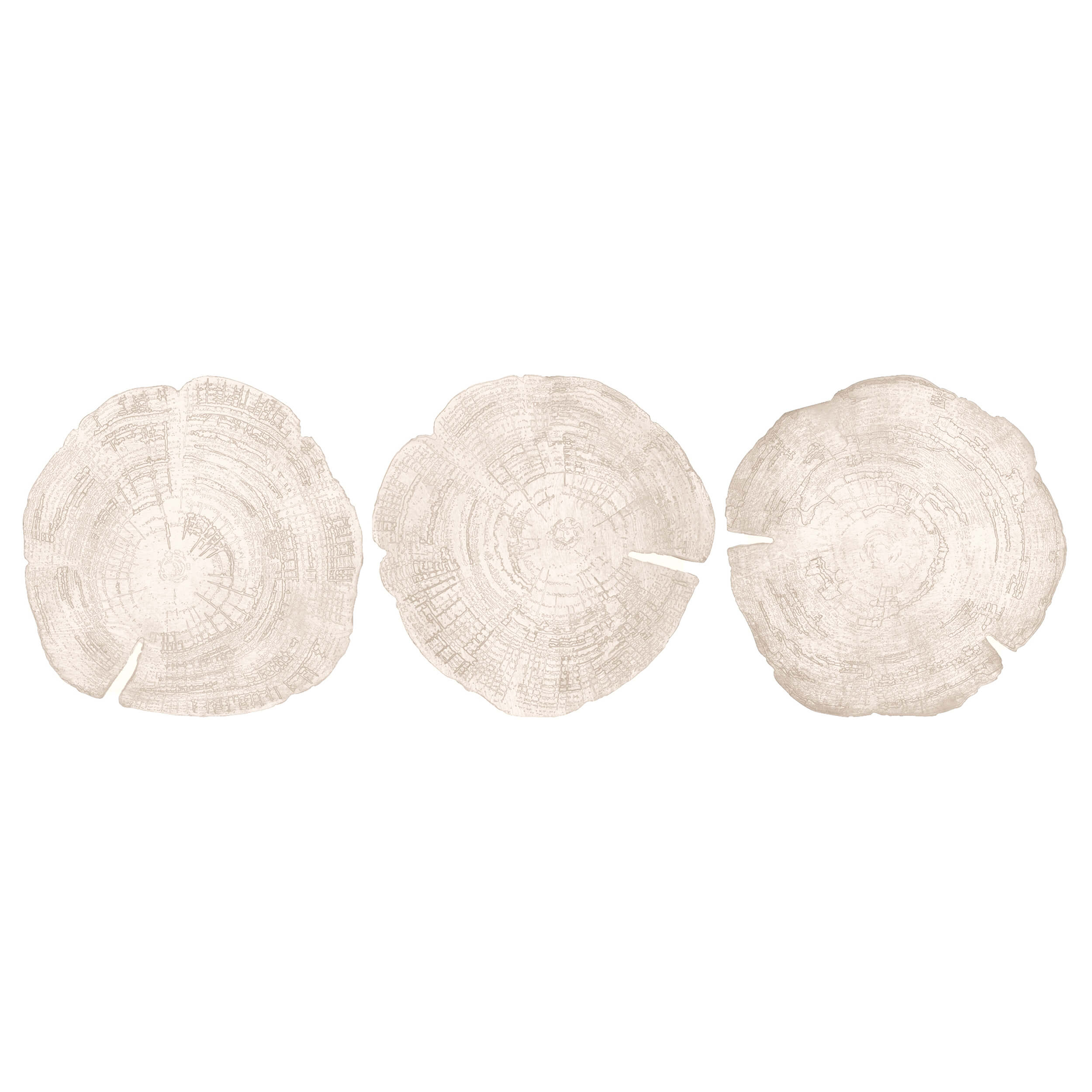 Embers of Growth VII, White Wash, Set of 3
