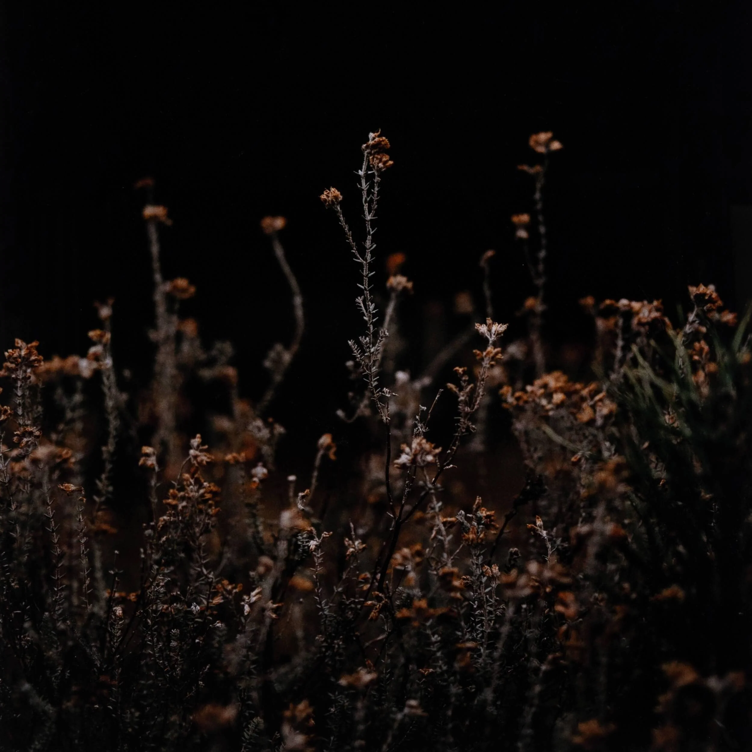 Escape I by Annie Spratt by Four Hands - Image 4