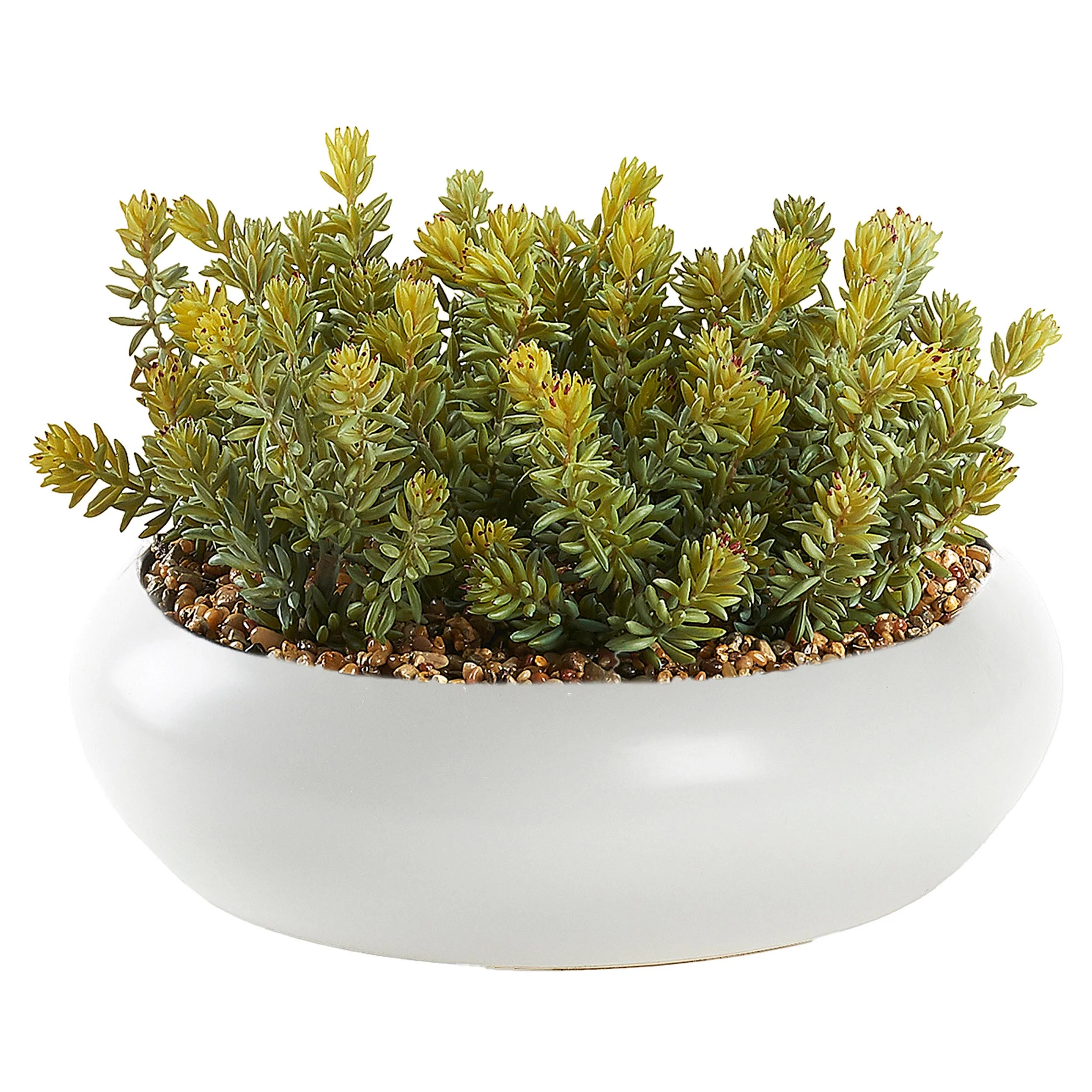 Flocked Succulents in Simply Low Bowl, White