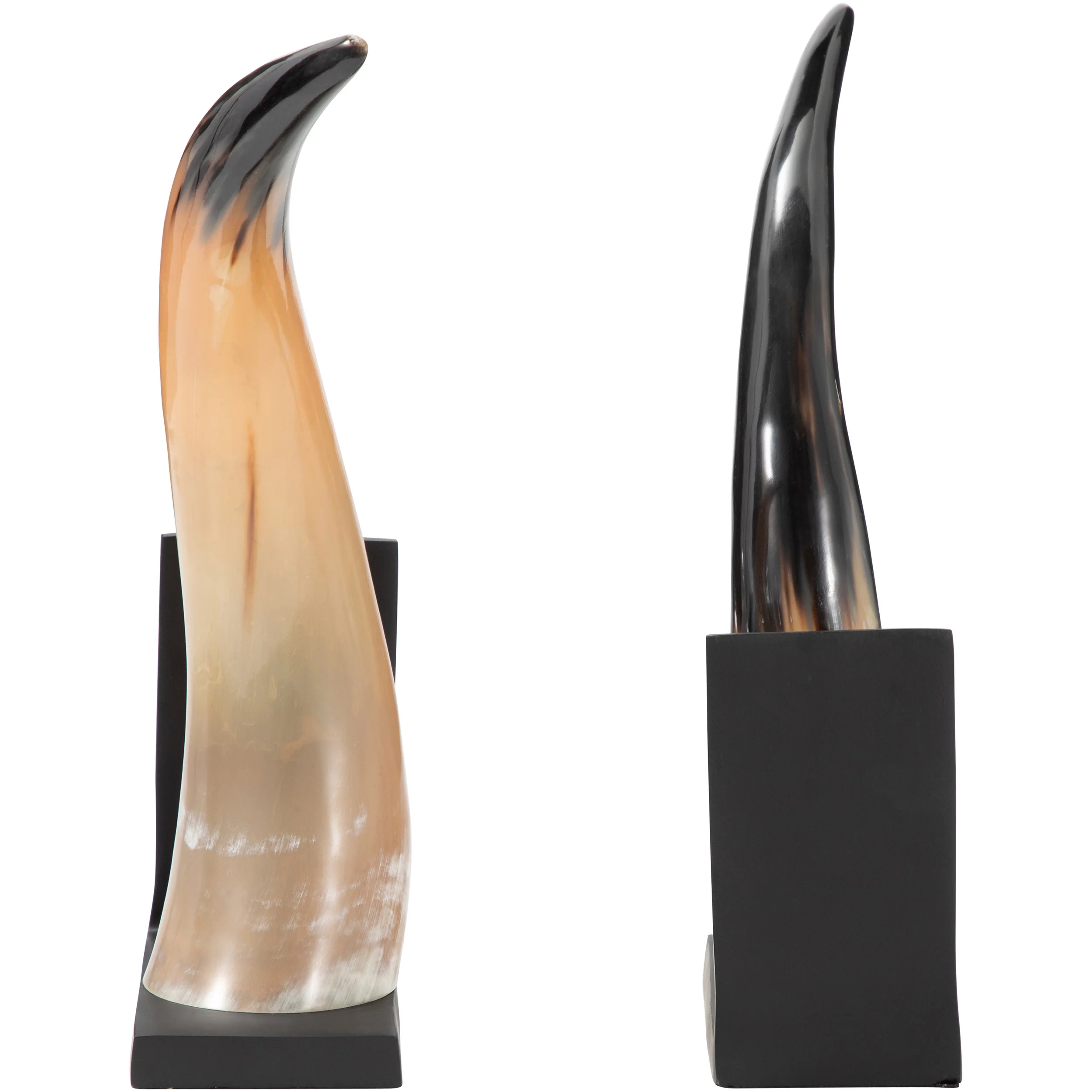 Gamil Horn Bookends, Black, Set of 2 - Image 3