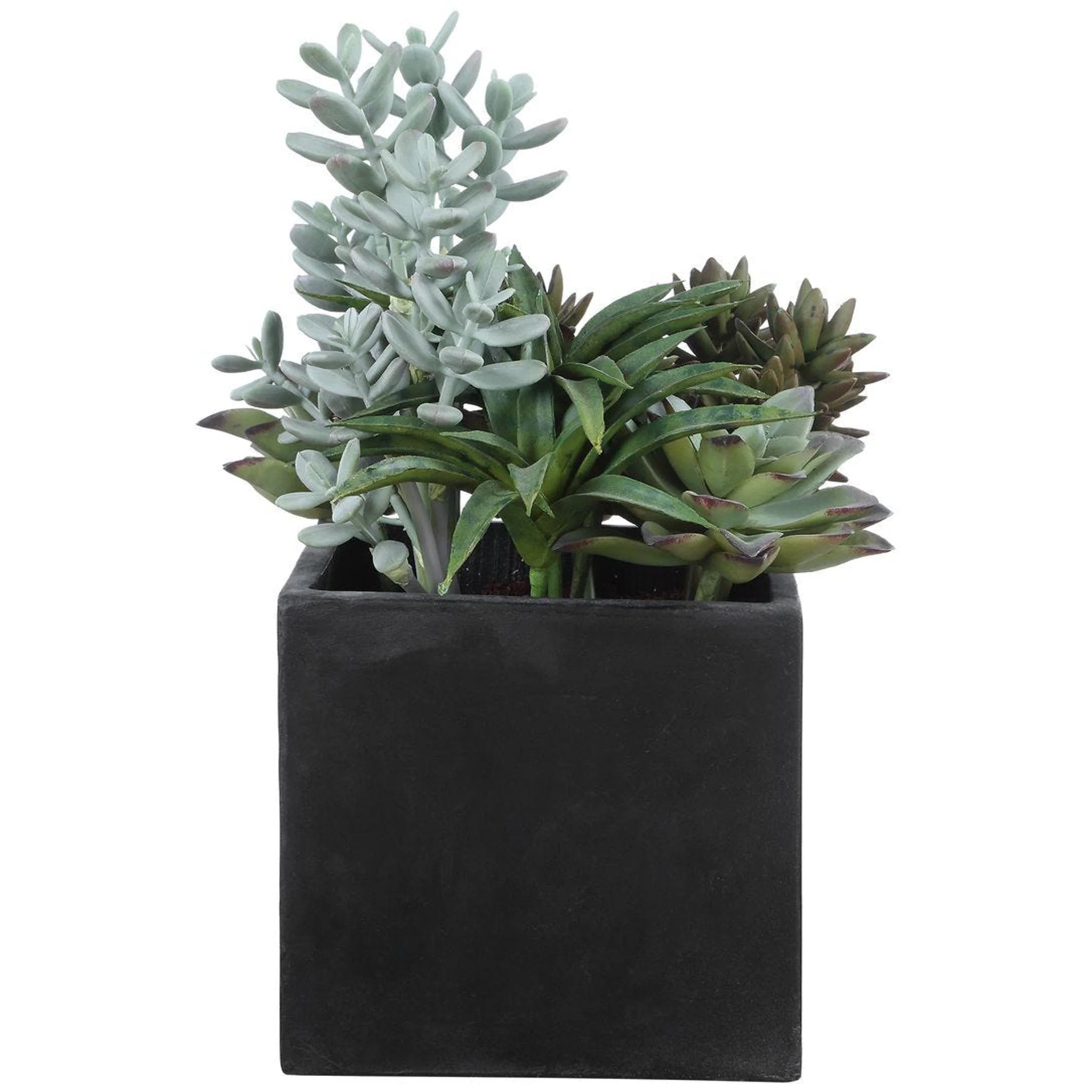 Greystone Outdoor Succulent, Matte Black - Image 3