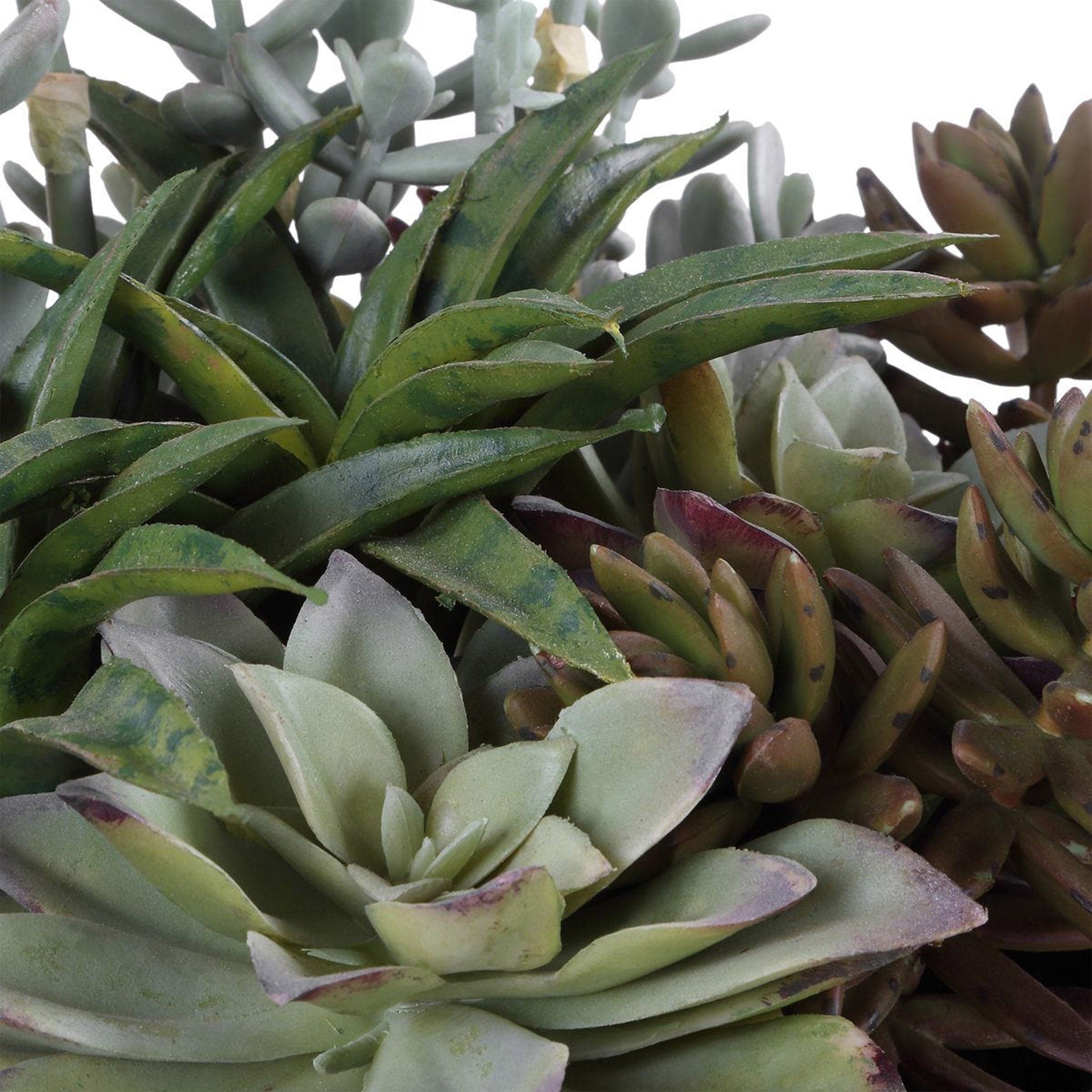 Greystone Outdoor Succulent, Matte Black - Image 4