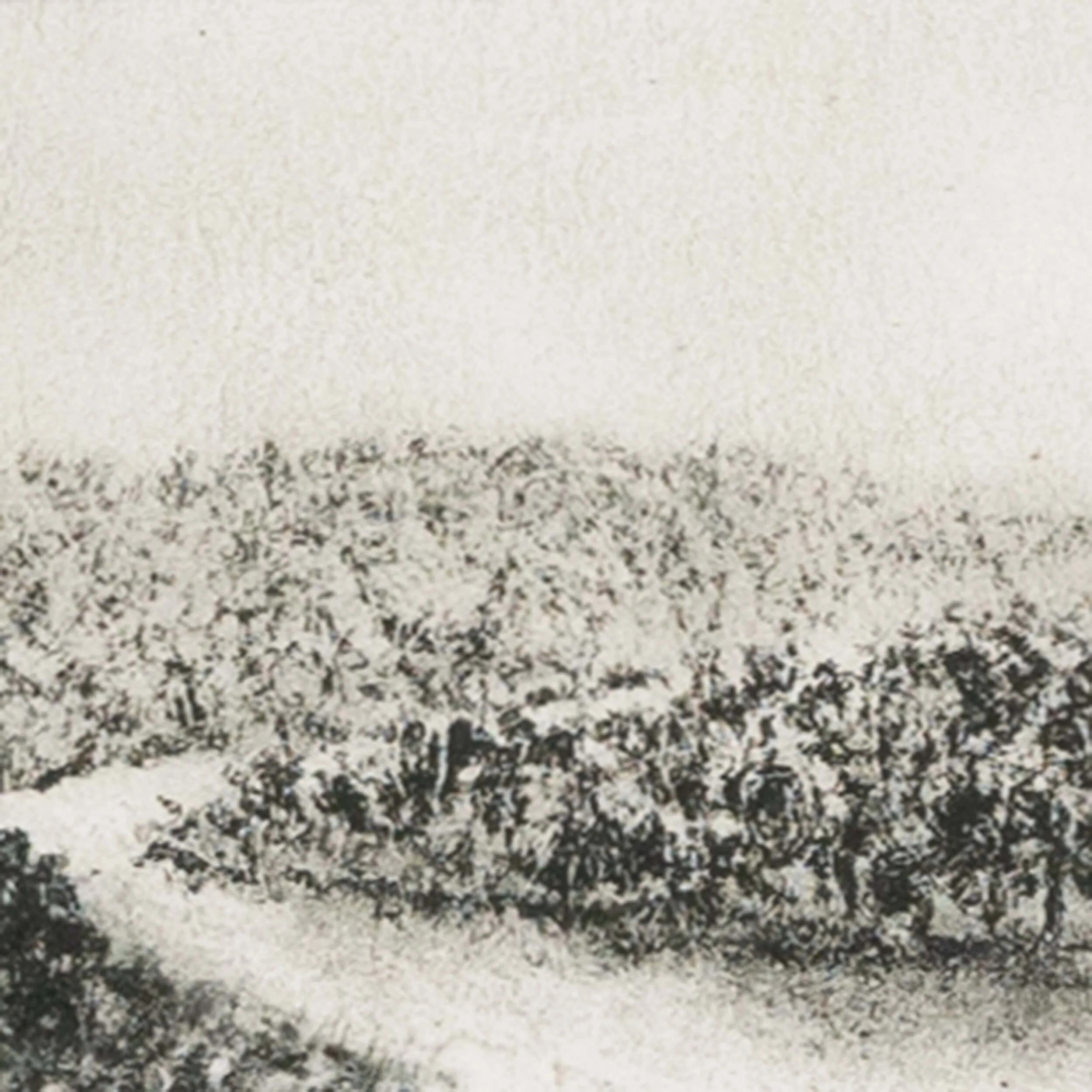 Hill Country Study II By Aileen Fitzgerald by Four Hands - Image 4