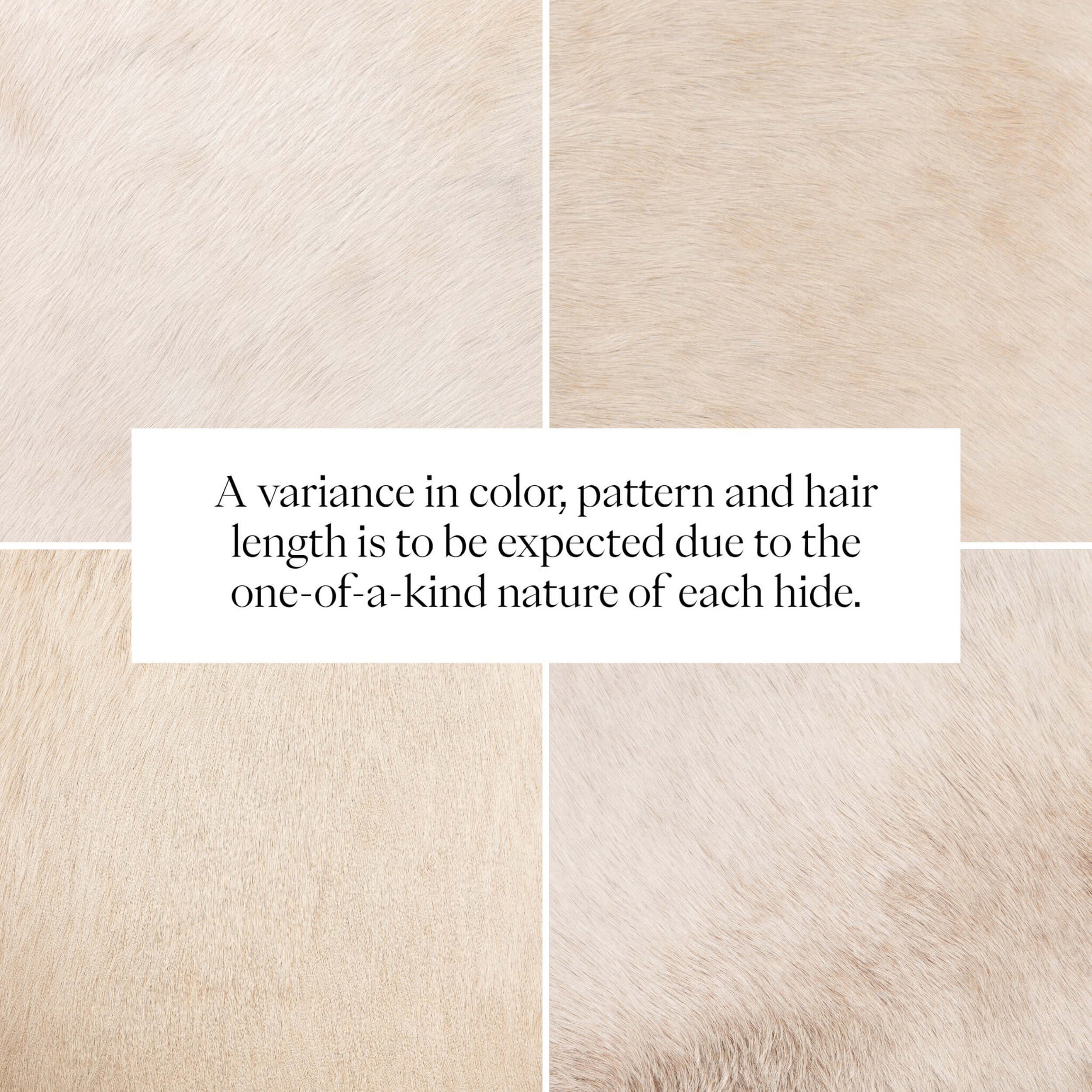 Knox Leather Bench, Light Hair on Hide by Four Hands - Image 7