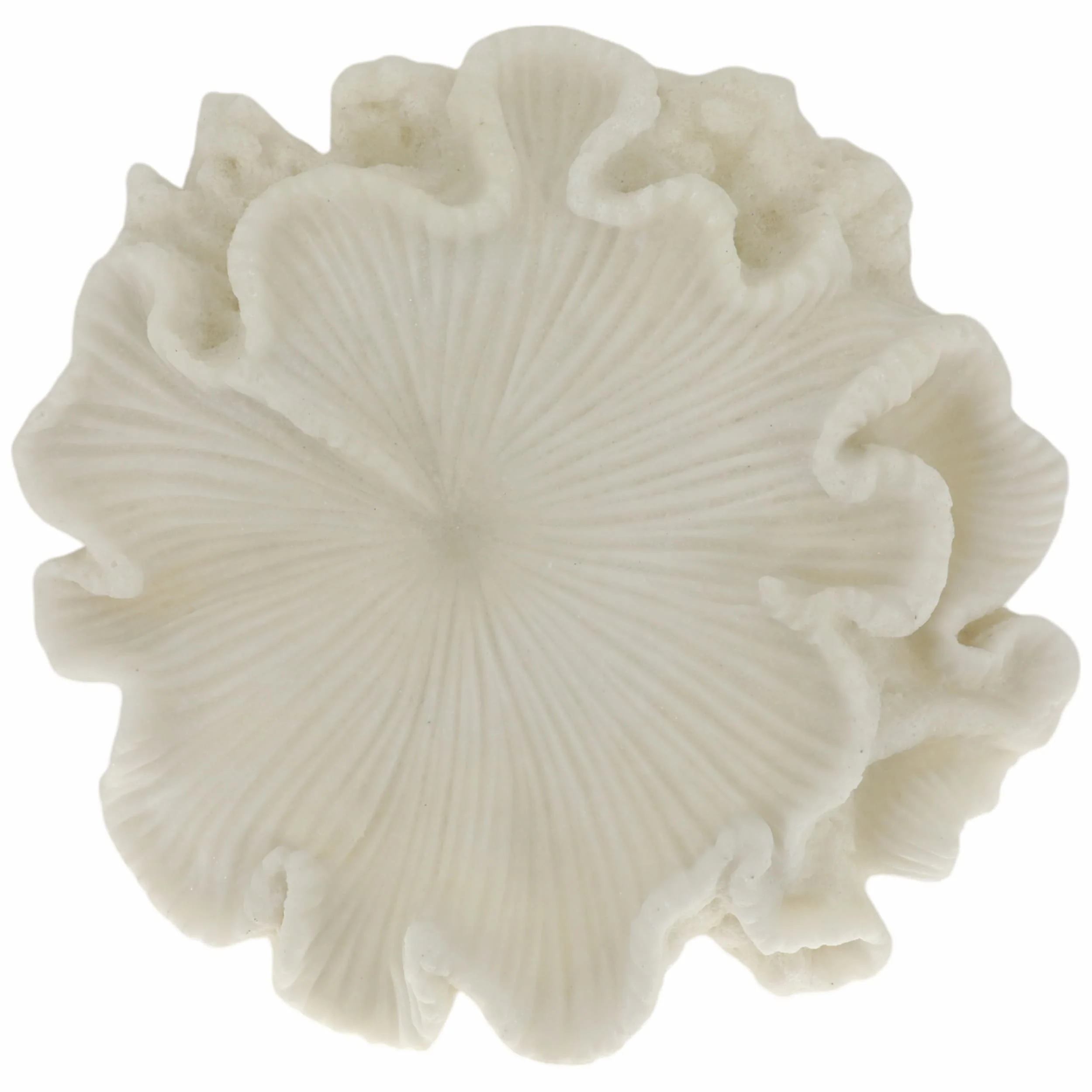 Majorca Shell Bowl, Ivory - Image 3