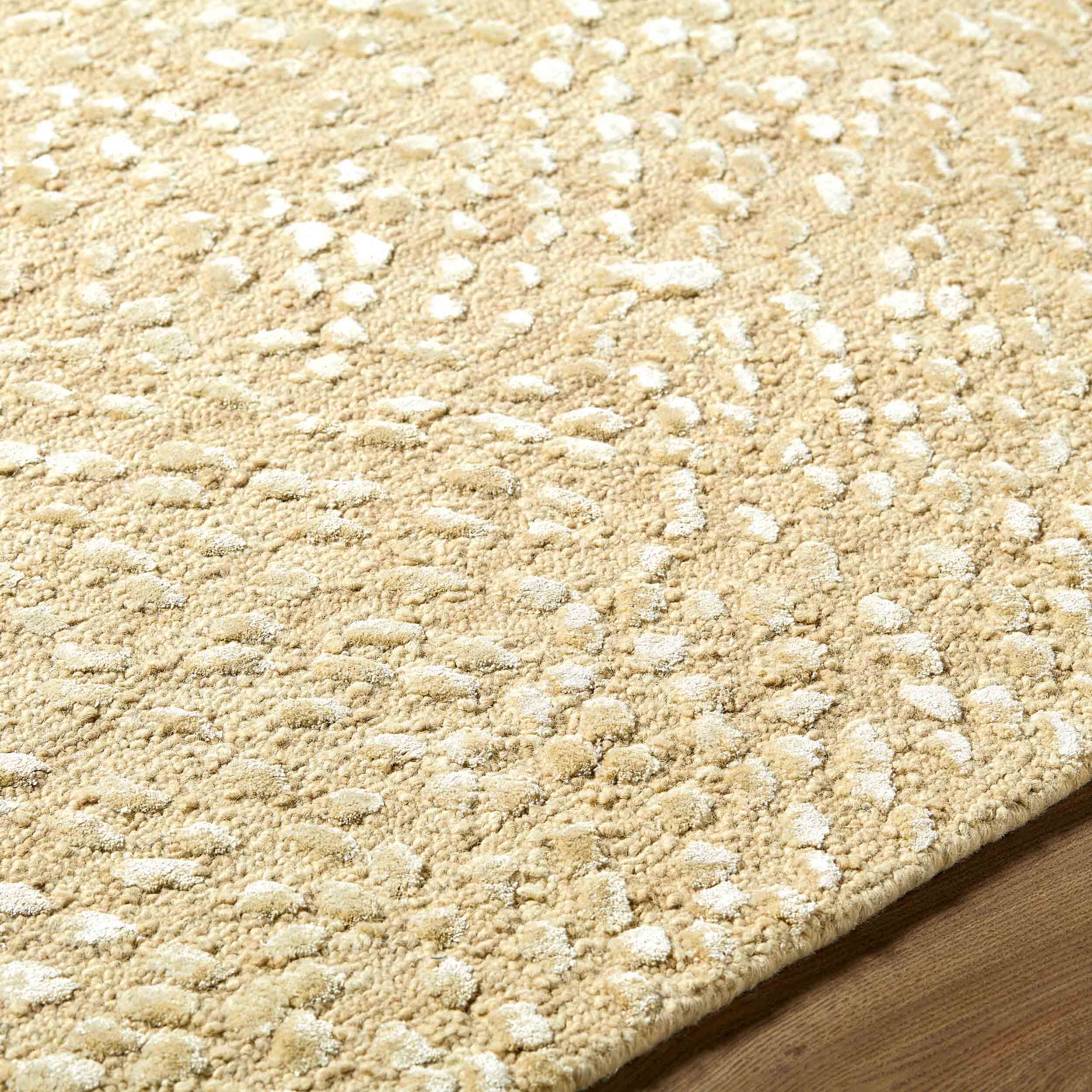 Margaritaville x Surya Rug On The Half Shell MXHS-2300, Beige - Image 5