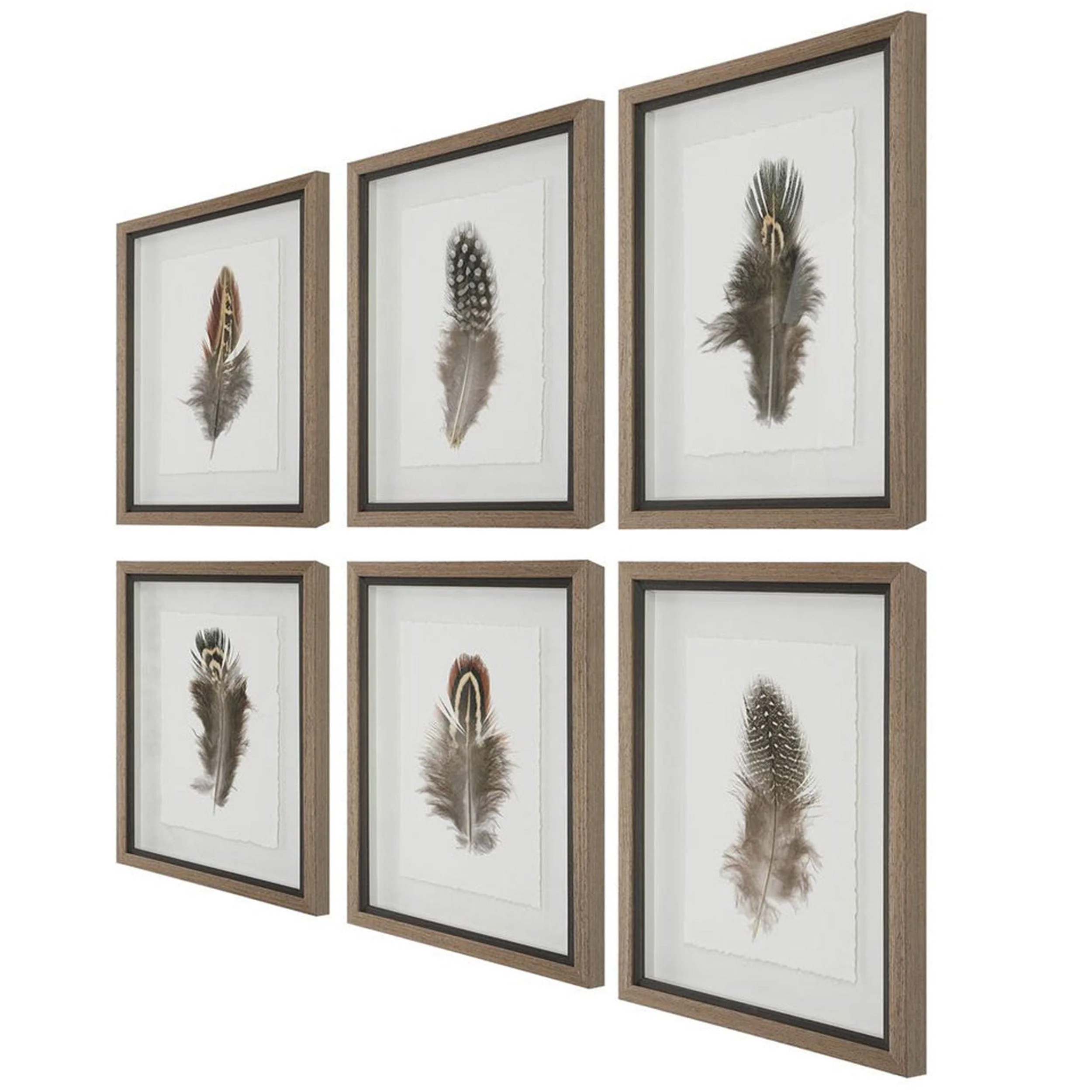 Birds Of A Feather Framed Prints, Rustic, Set of 6 - Image 2