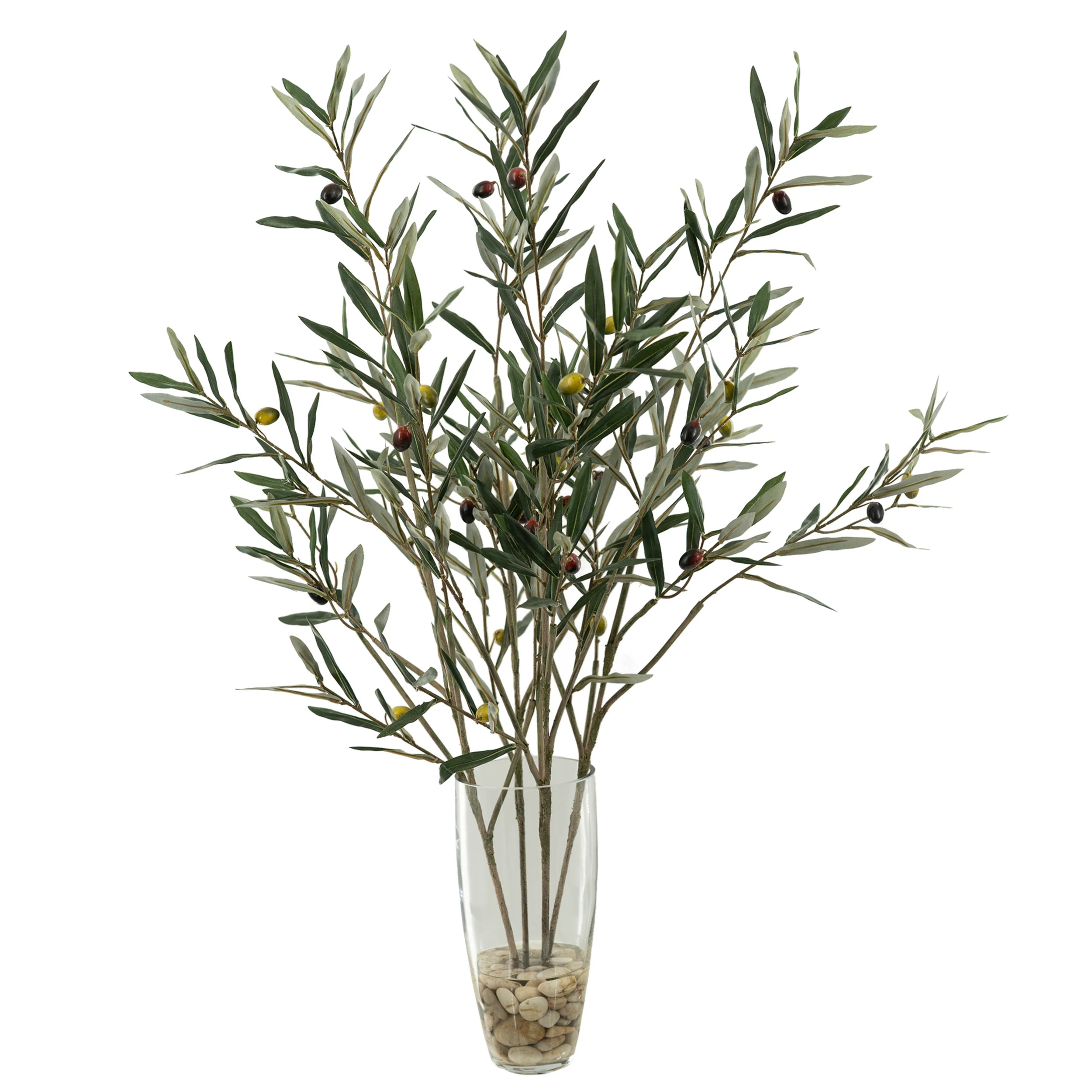 Ollive Spray in Aurora Cylinder Vase, Clear