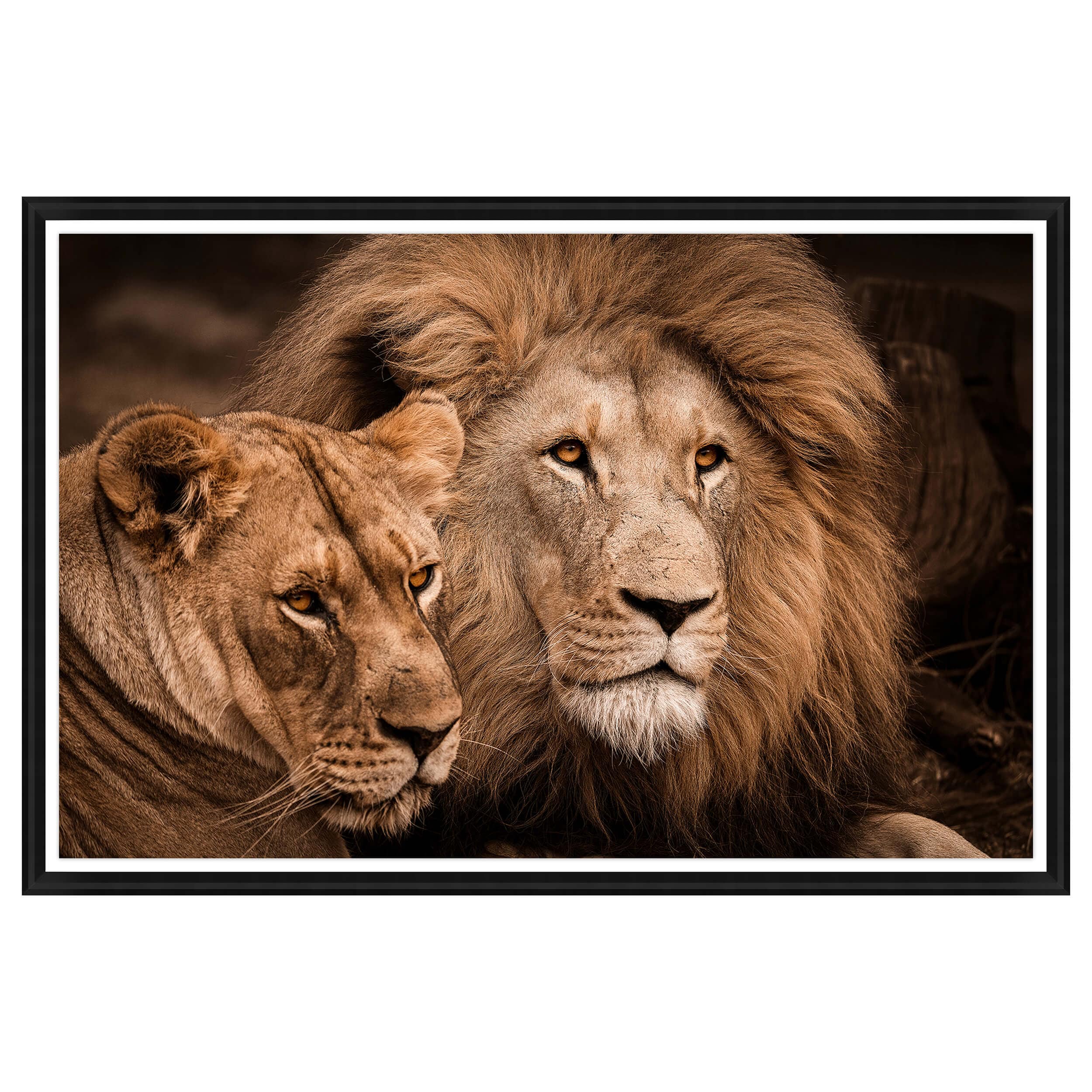 Powerful Couple Acrylic Glass Framed