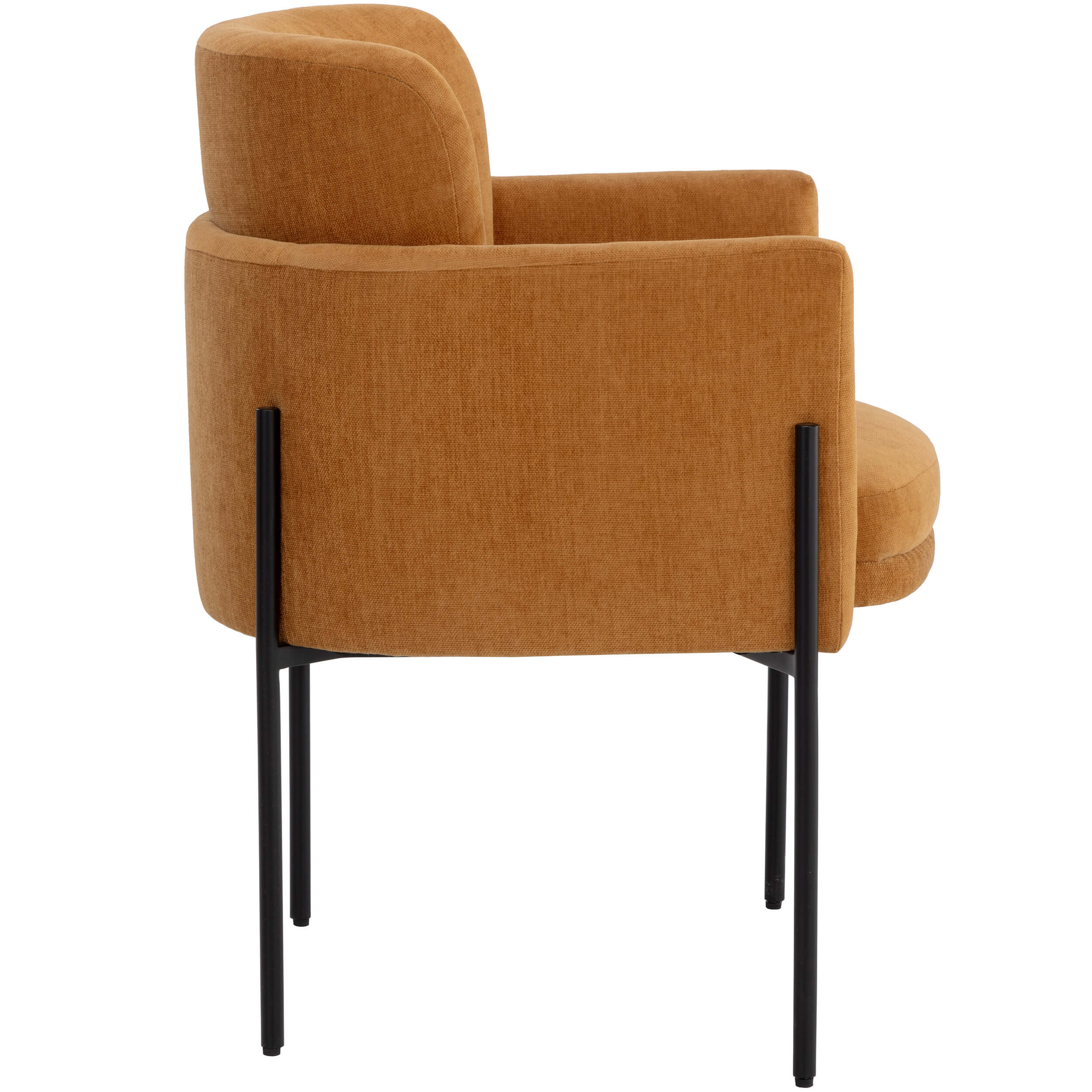 Richie Arm Chair, Danny Amber - Image 2