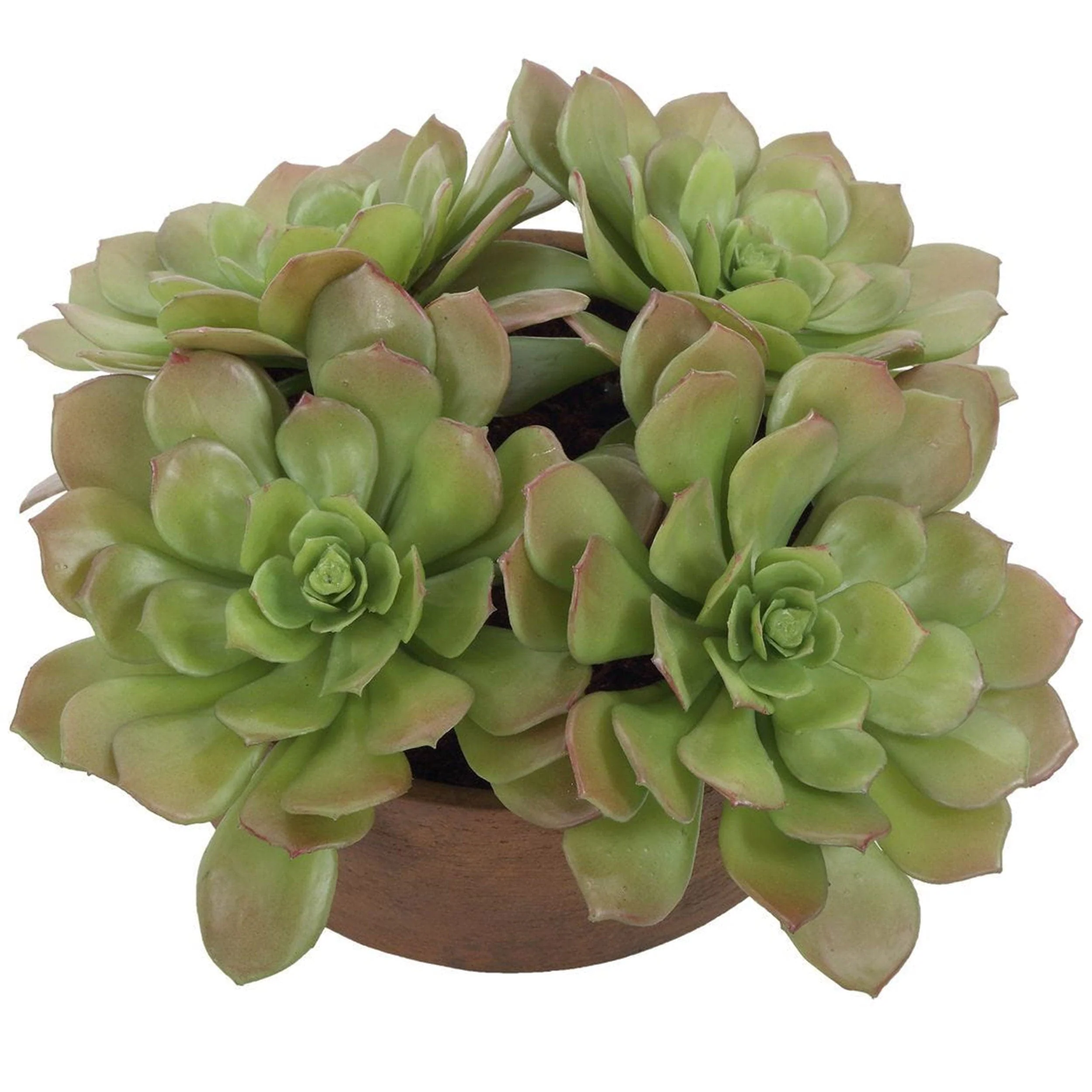 Sable Succulent Accent, Terracotta - Image 2