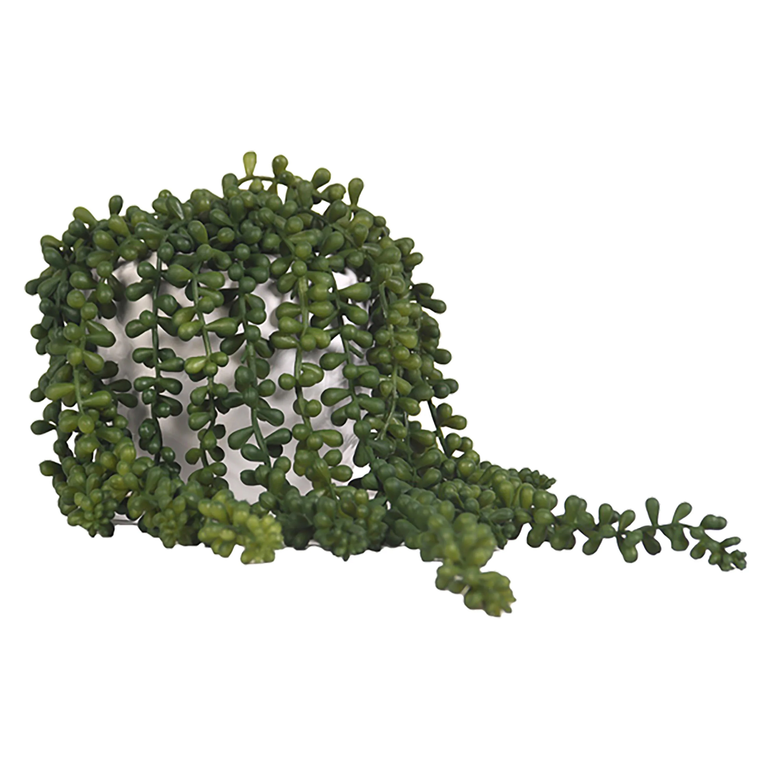 Sedum Spray in Round Ceramic Planter, White