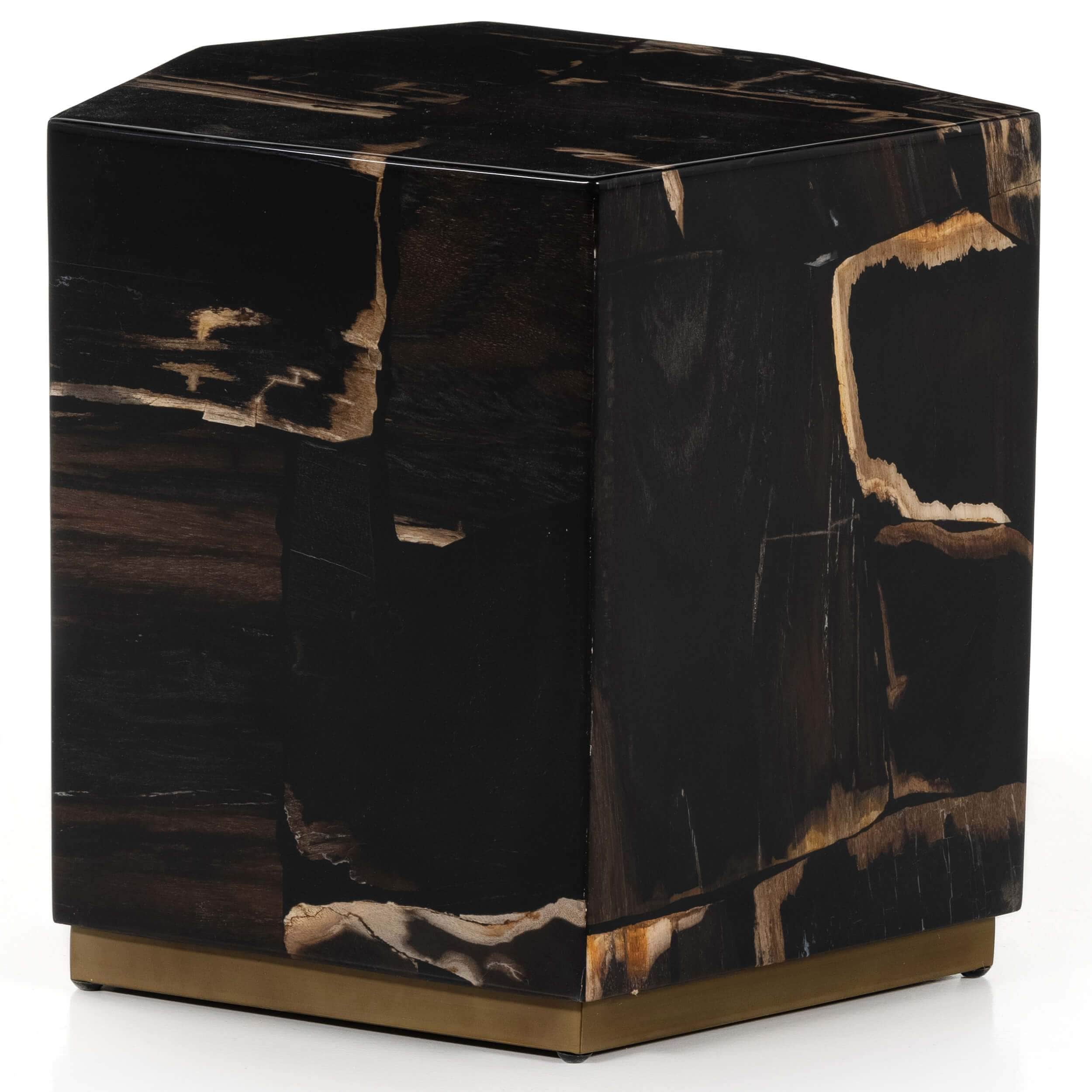 Shep End Table, Polished Petrified Wood by Four Hands - Image 3