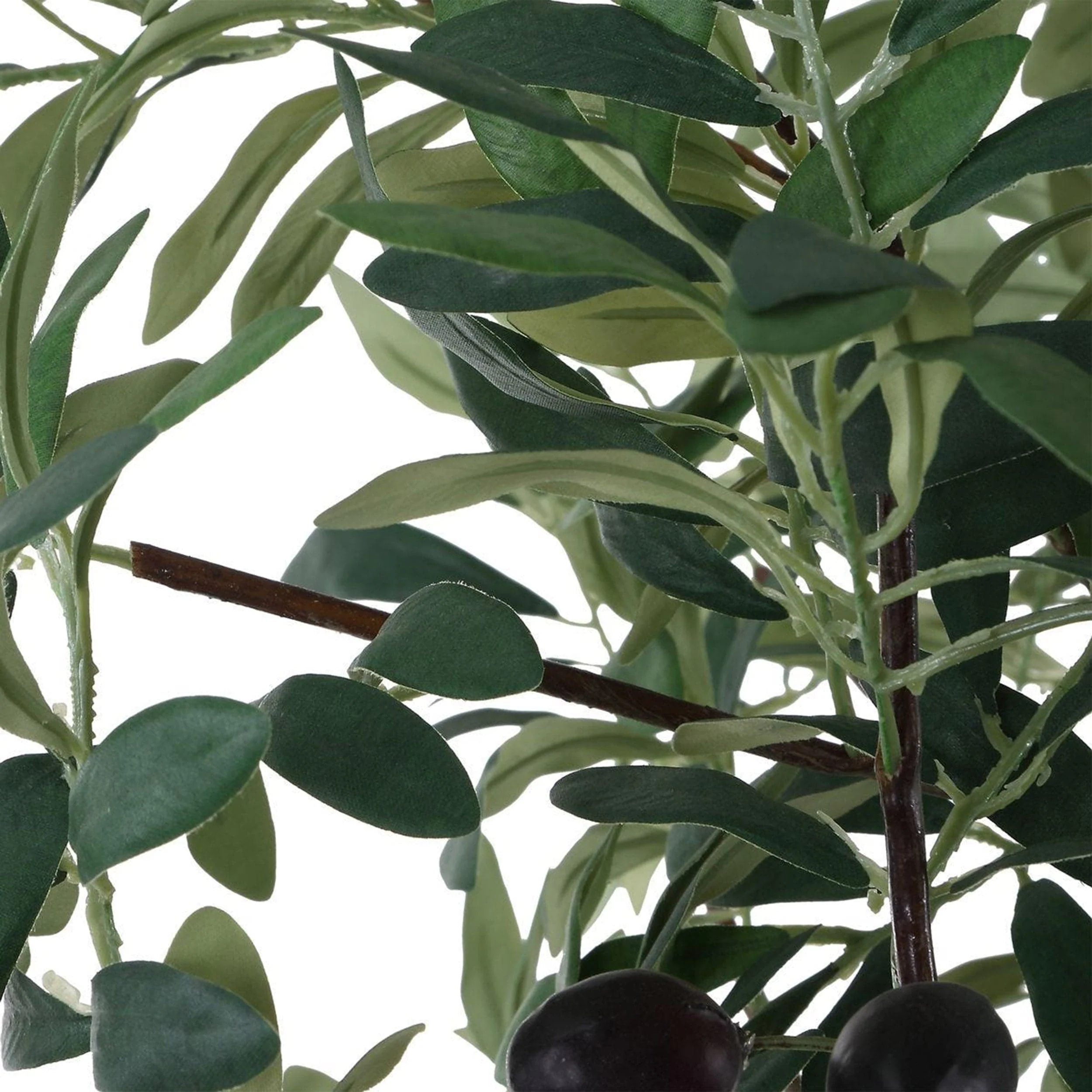 Sonora Olive Tree, Gray - Image 3