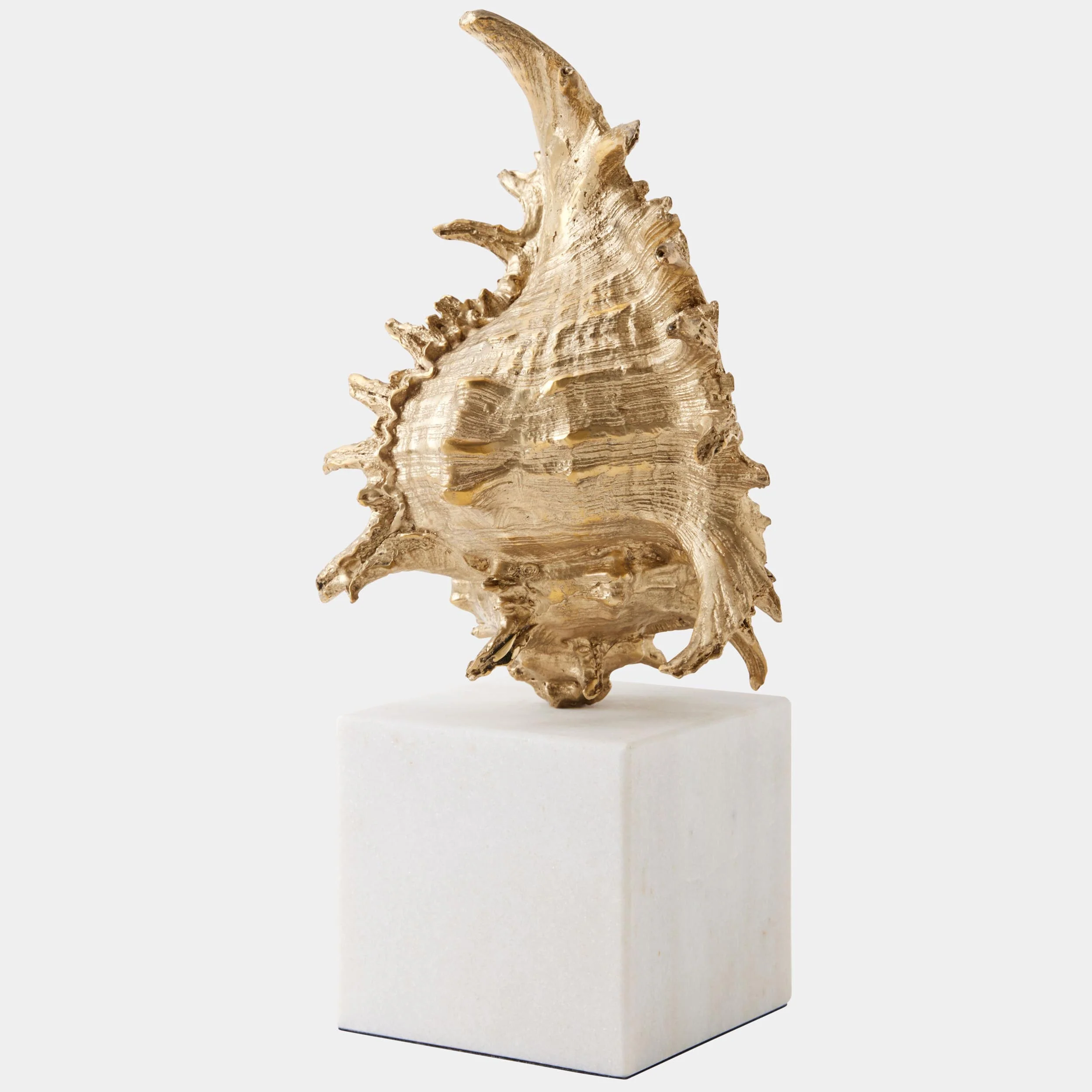 Spider Conch Shell Sculpture, Brass - Image 2