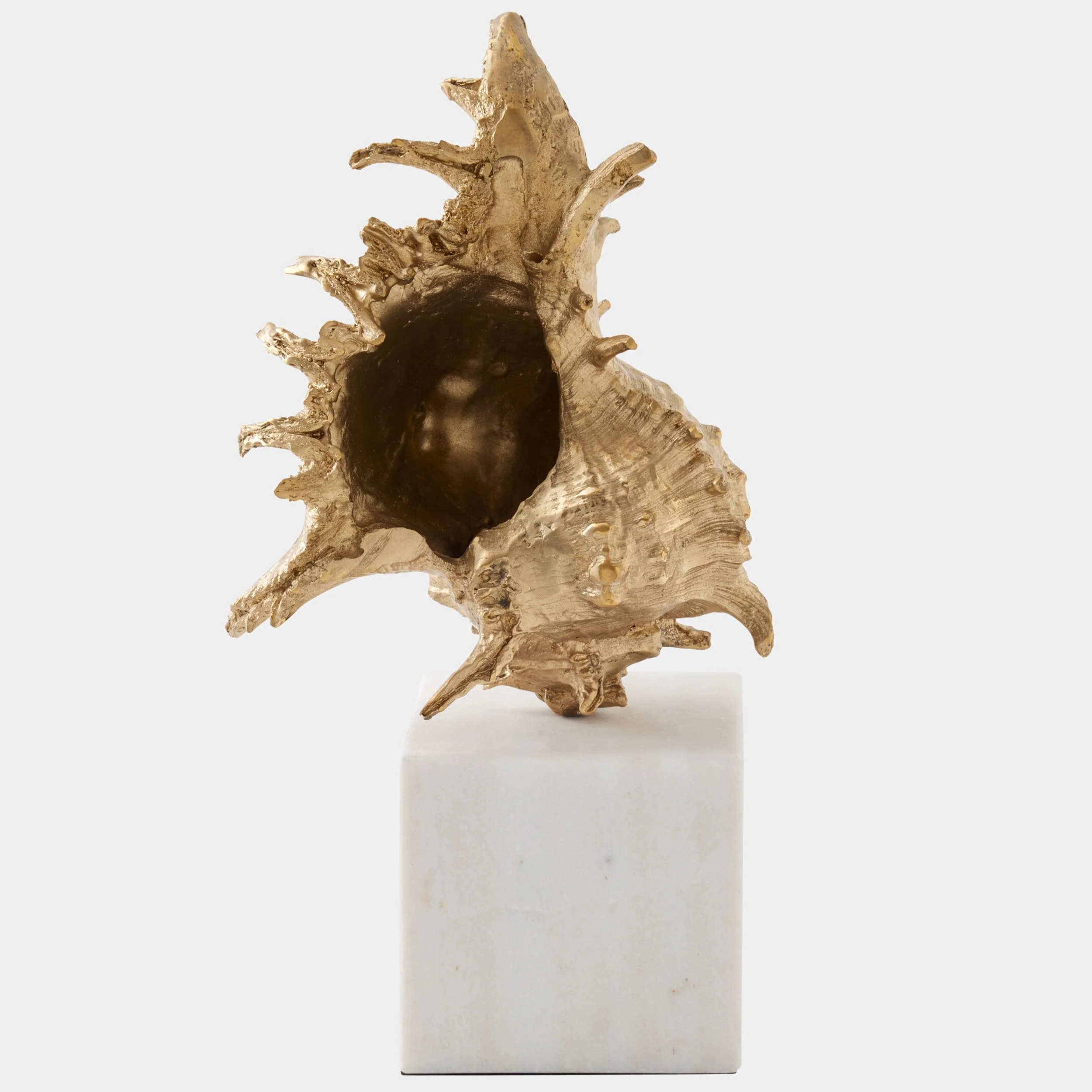 Spider Conch Shell Sculpture, Brass - Image 3