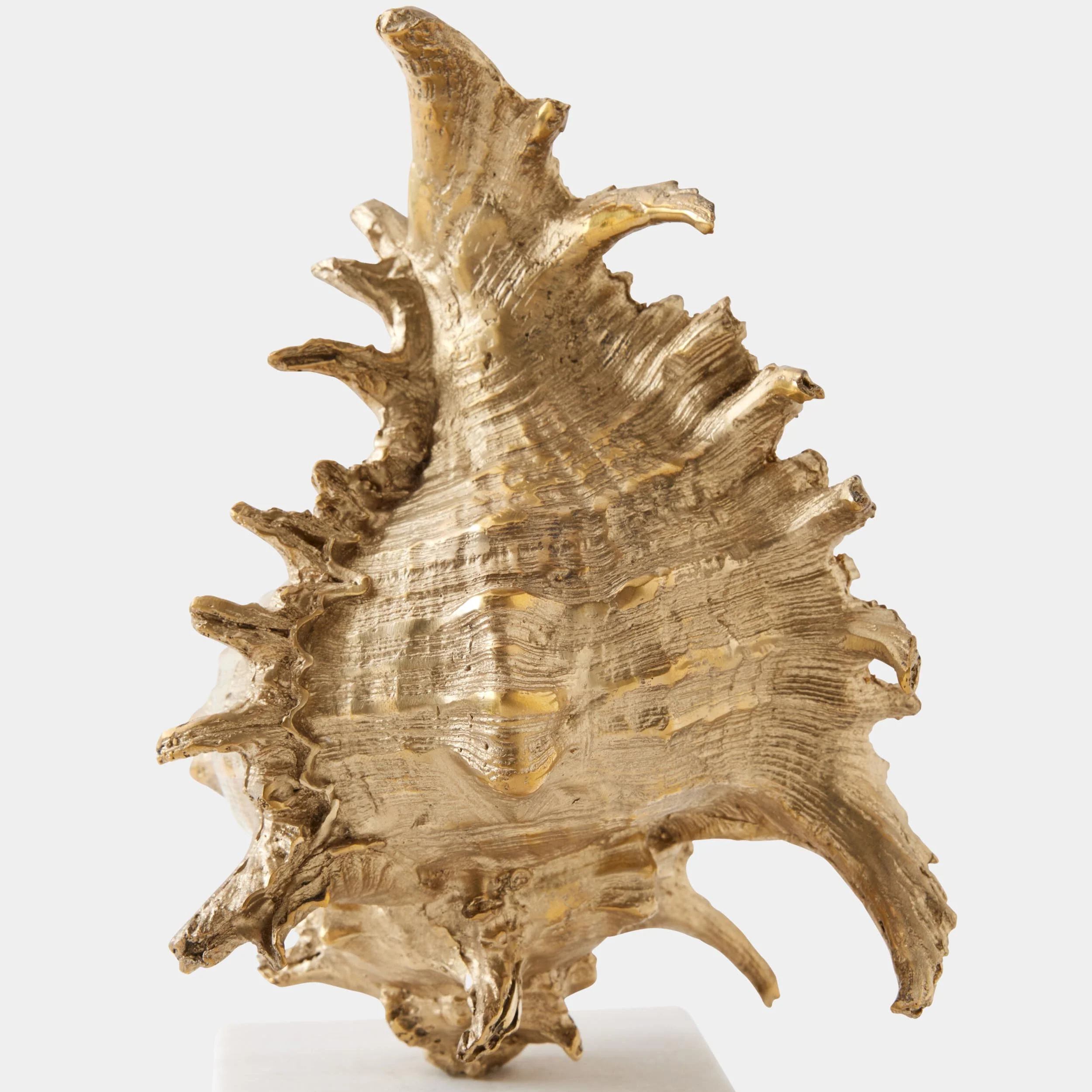 Spider Conch Shell Sculpture, Brass - Image 4