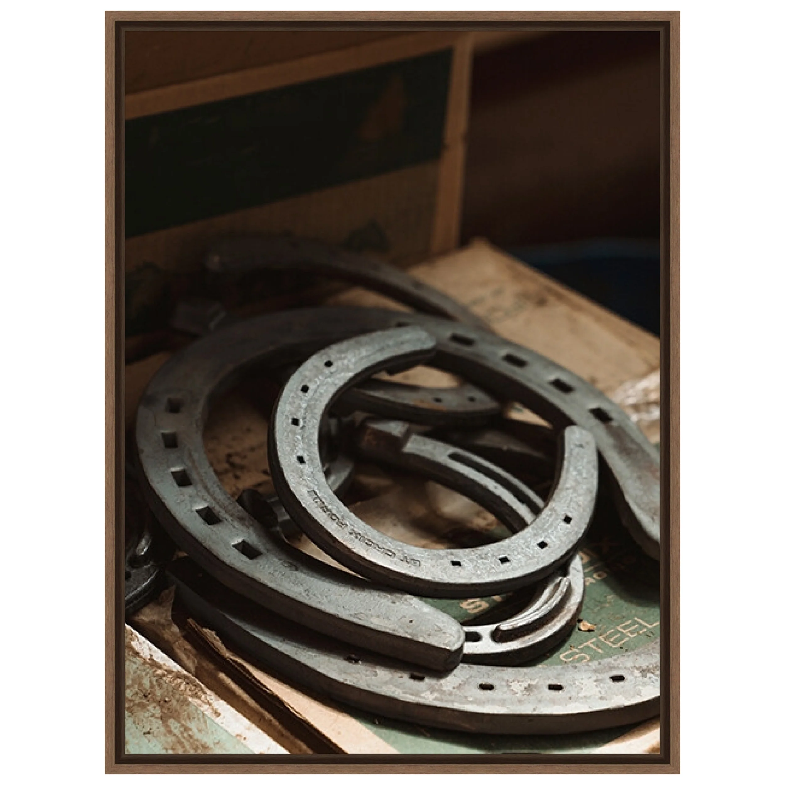 Steel Shoes Framed