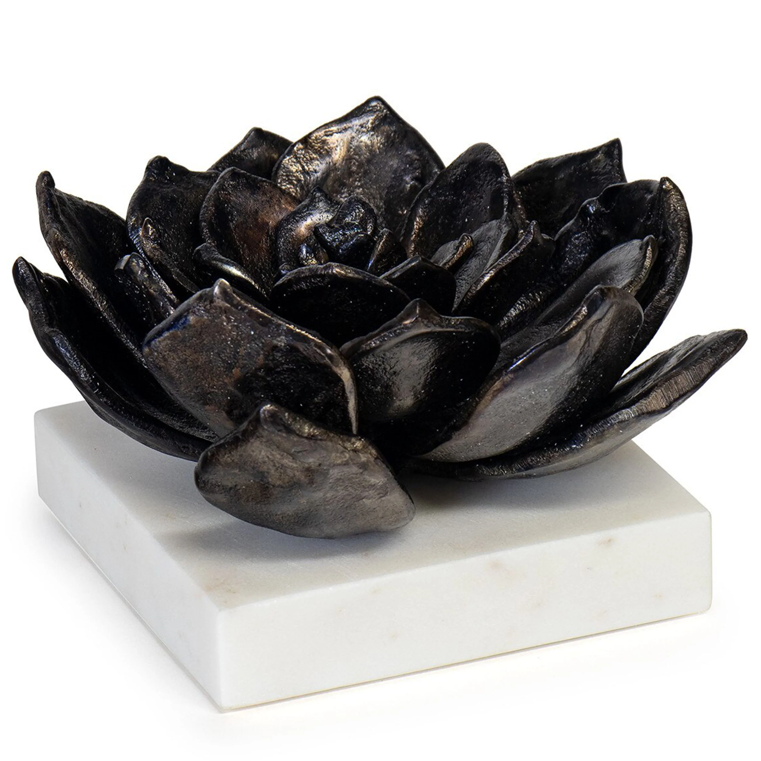 Succulent Sculpture 1, Black