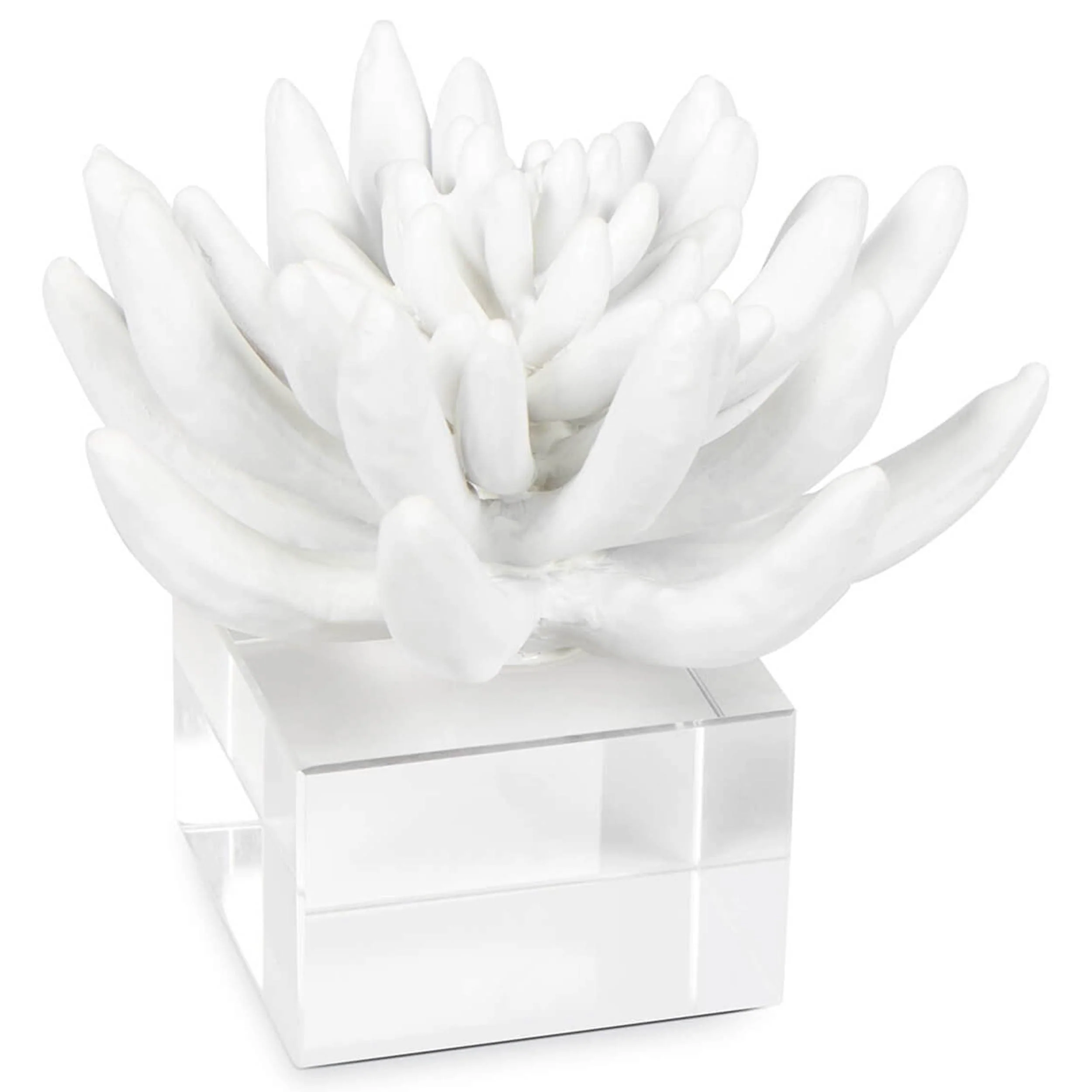 Succulent Sculpture 2, White
