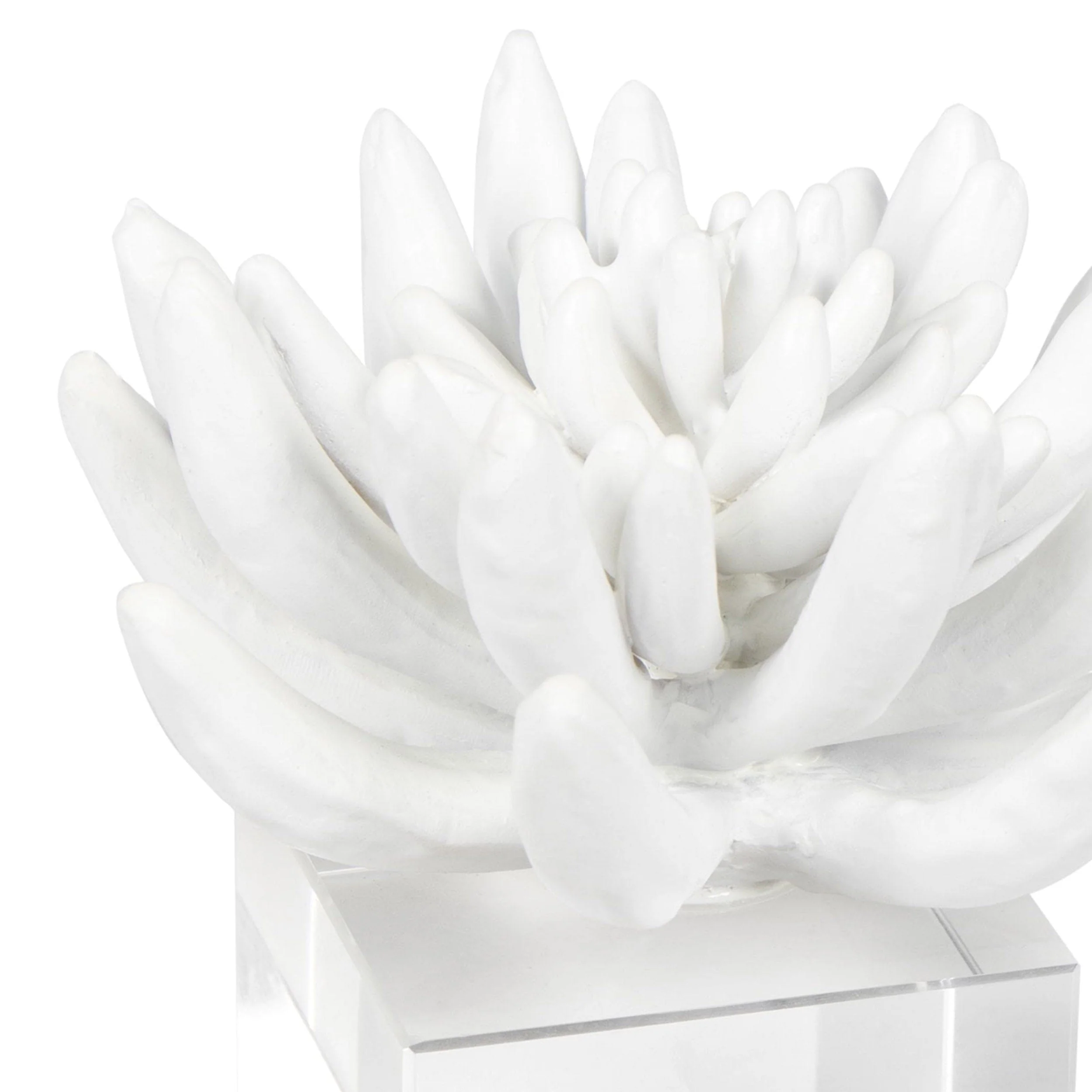 Succulent Sculpture 2, White - Image 4