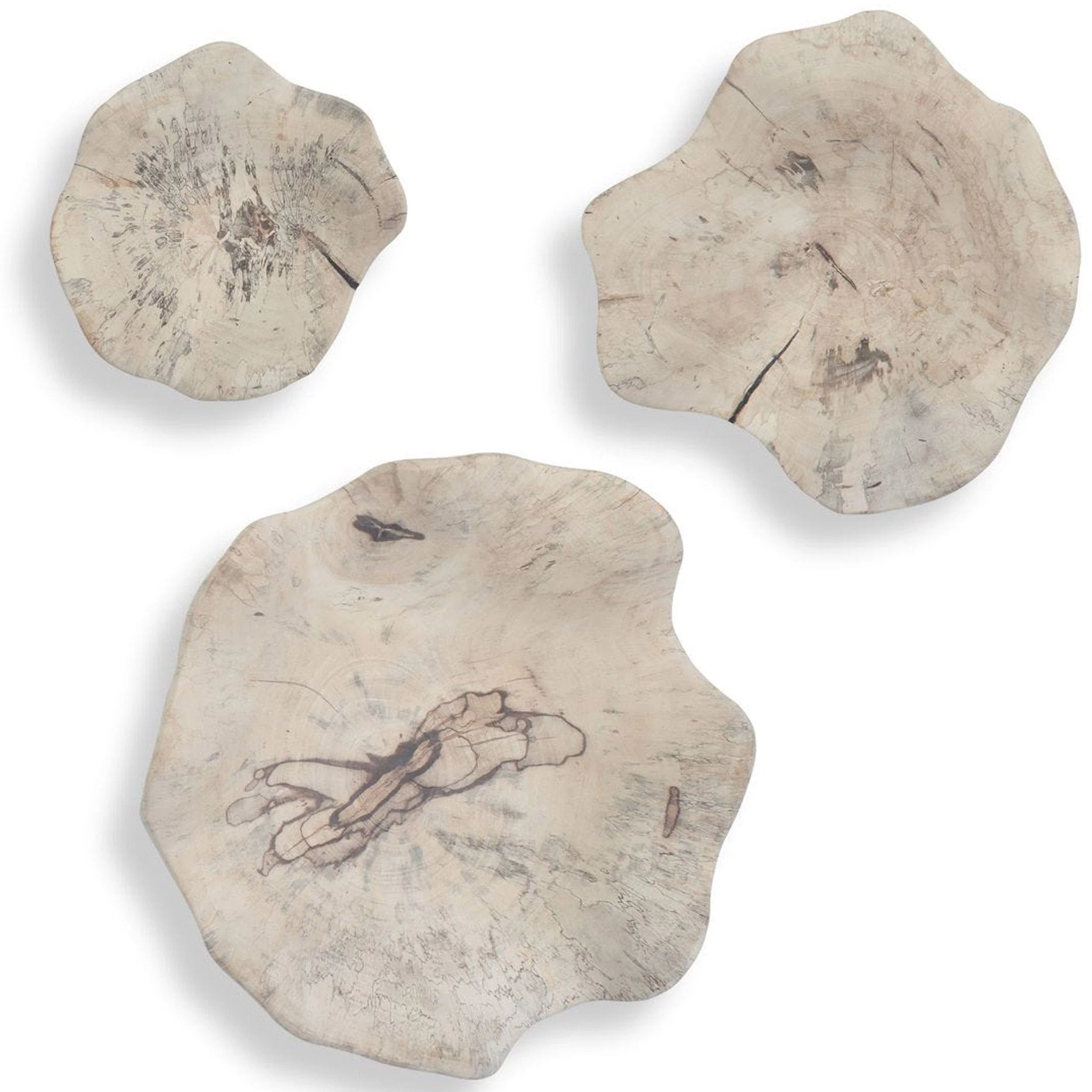 Teo Wood Wall Decor Set of 3, Bleached