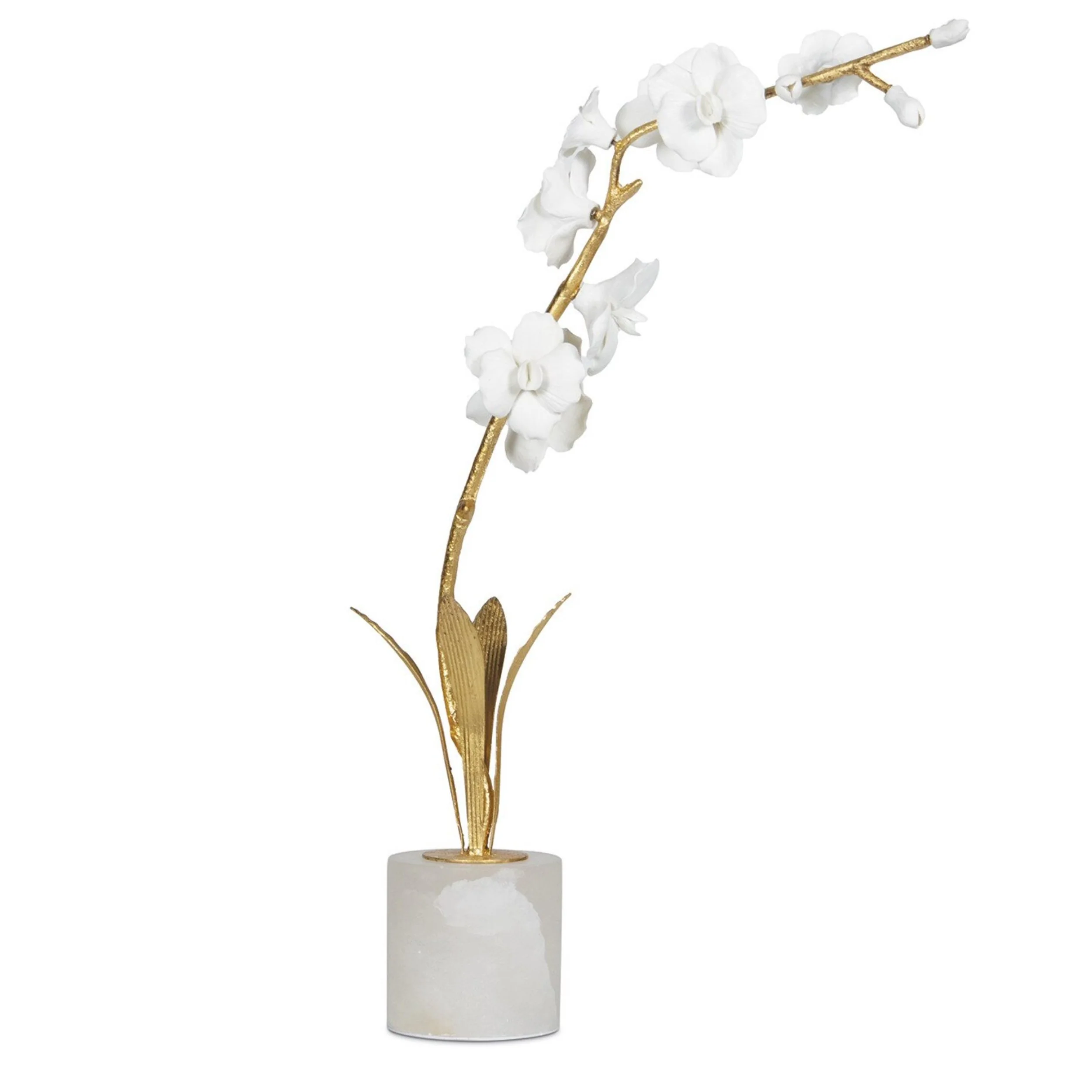 Thylane Bent Orchid, White