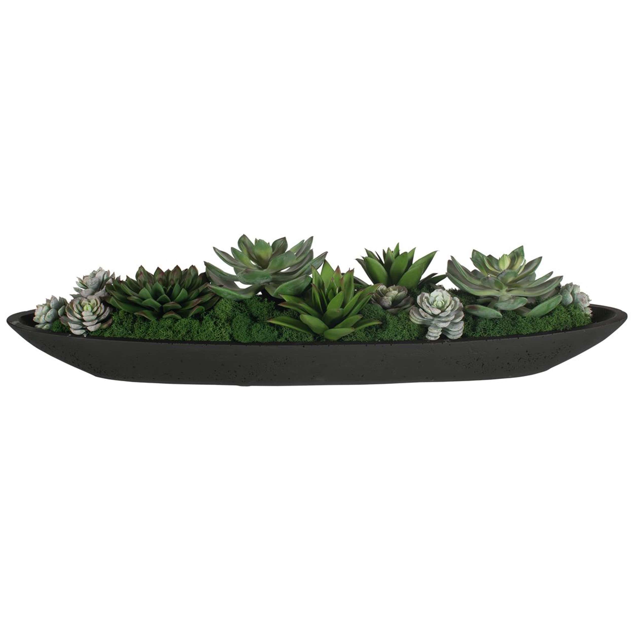 Verde Succulent Centerpiece, Black - Image 4