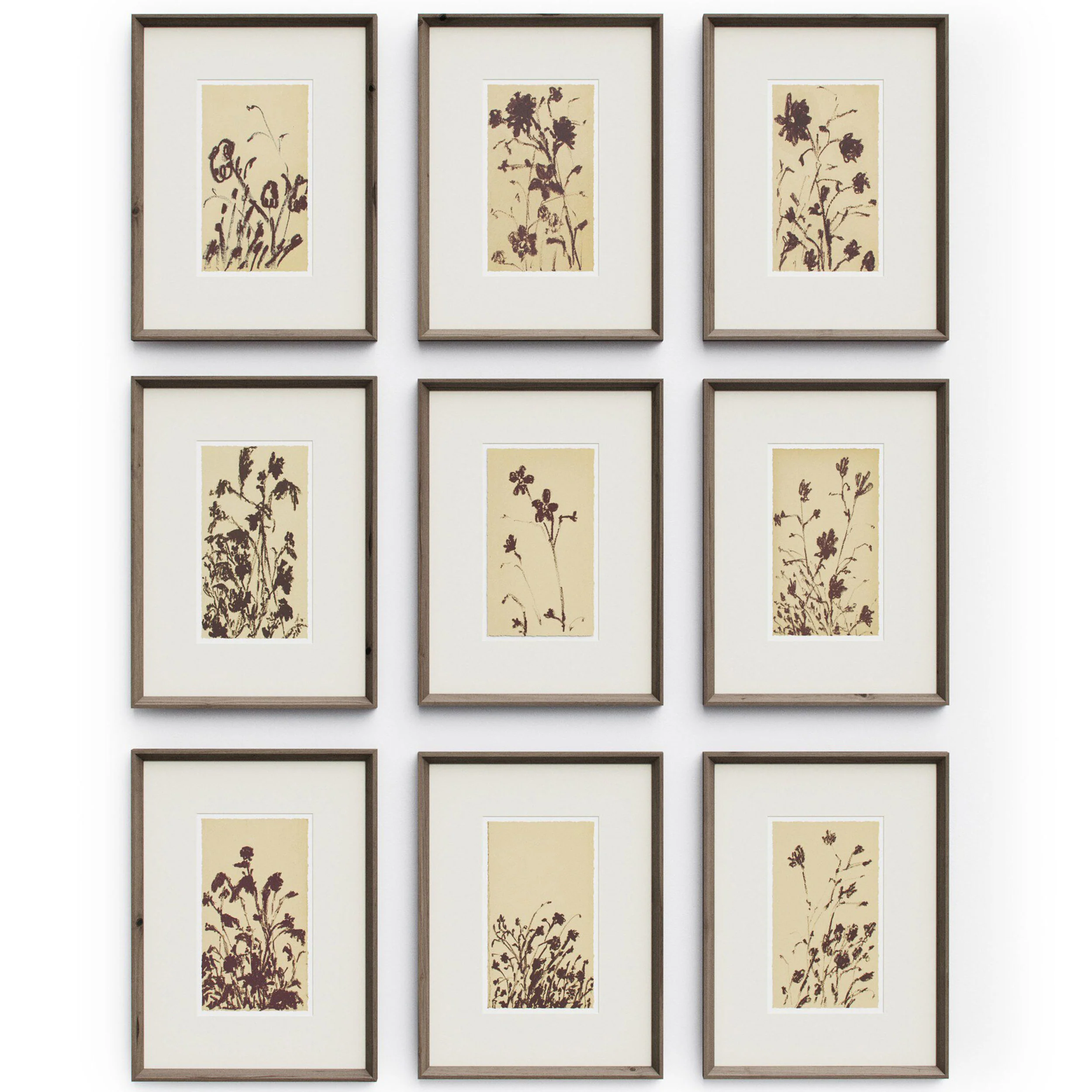 Wild Blooms Set by Four Hands