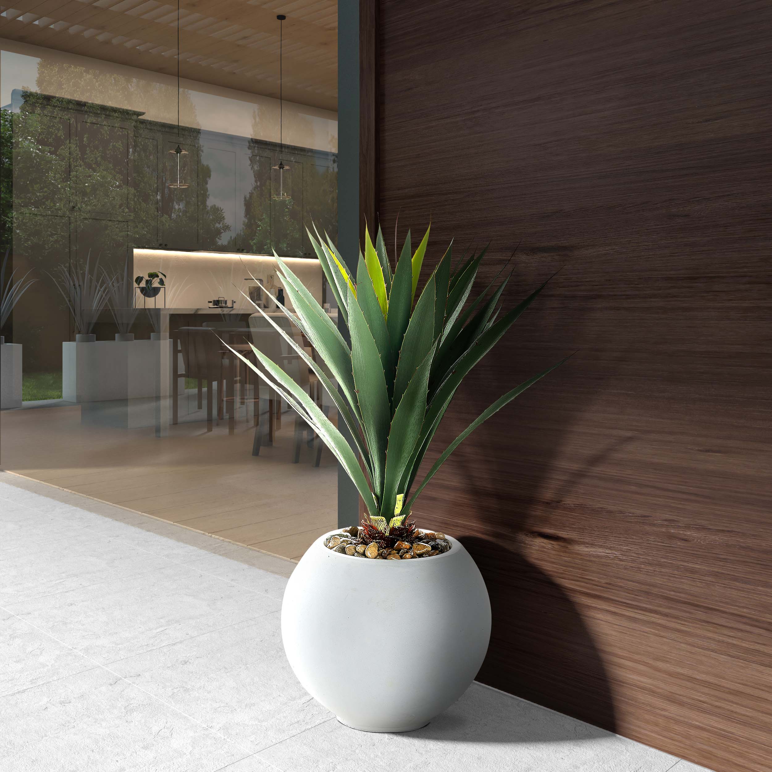 Yucca in Porter Planter, White - Image 2